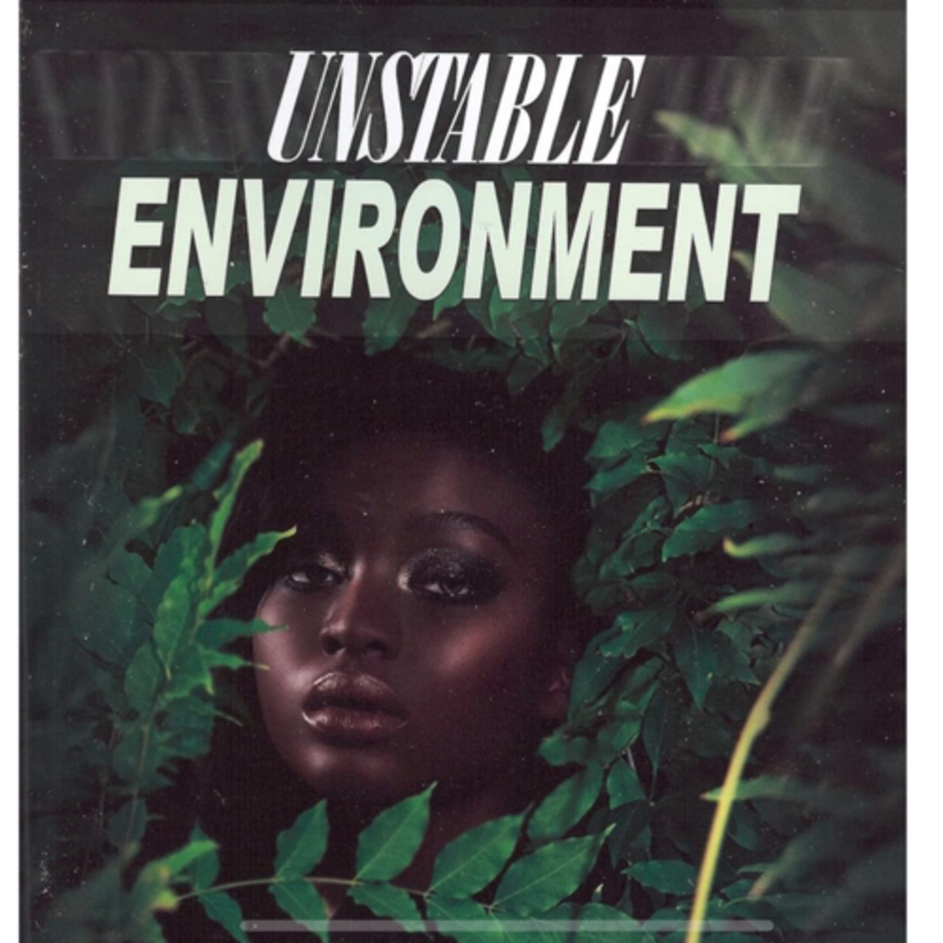 Unstable Environment  episode artwork