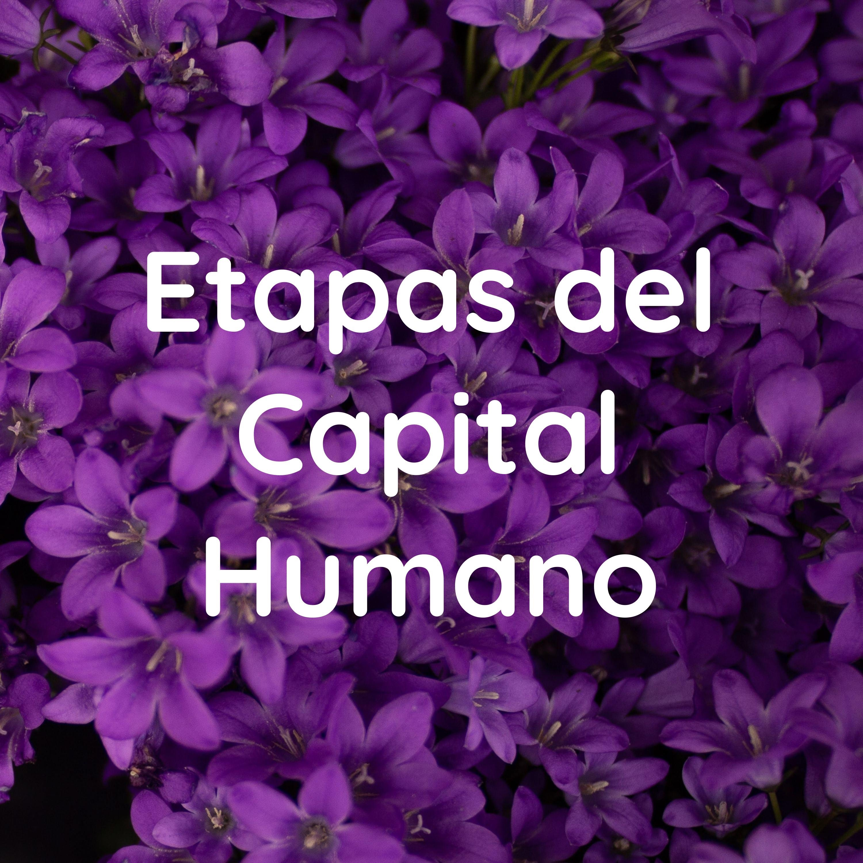 Etapas del Capital💟Humano