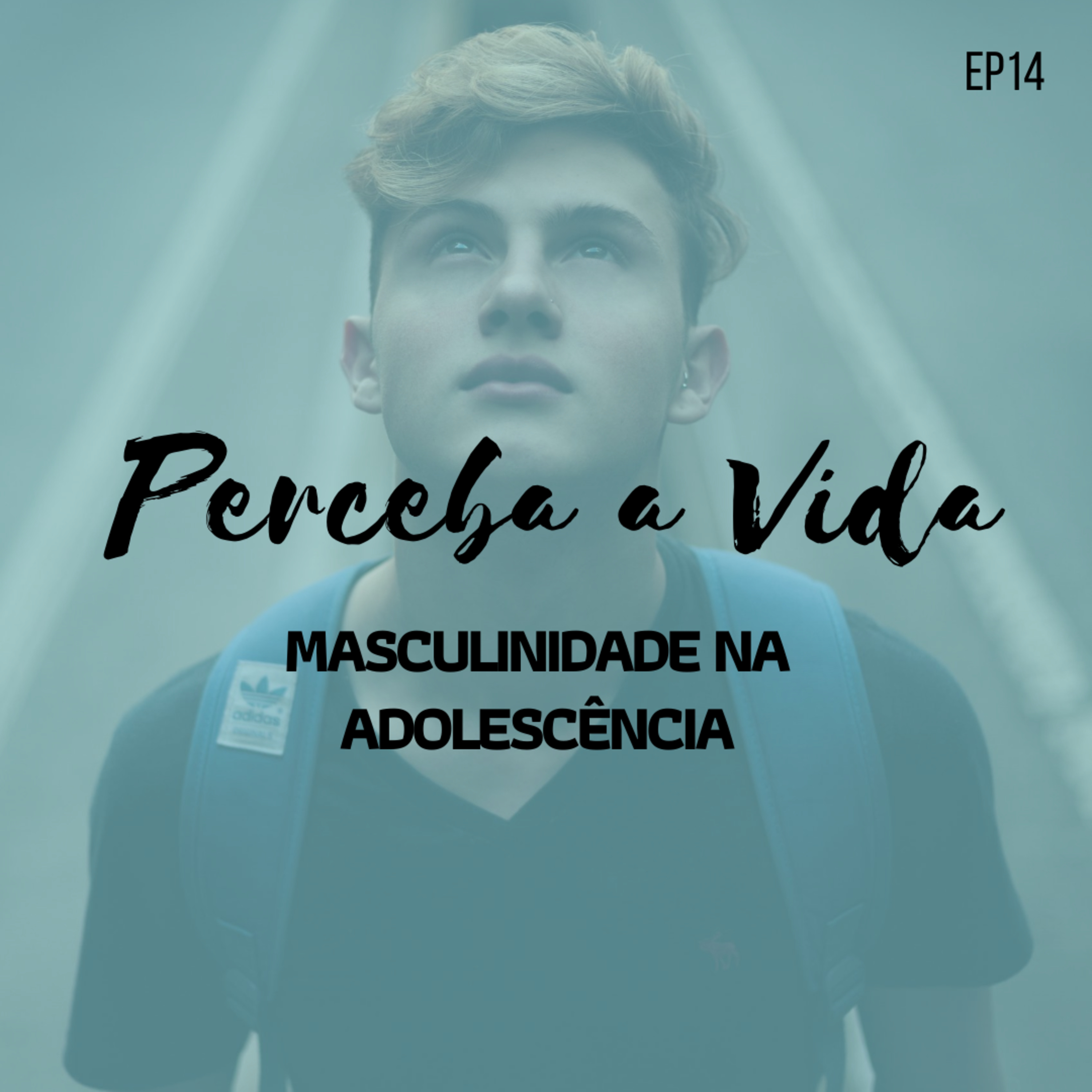 Perceba a Vida