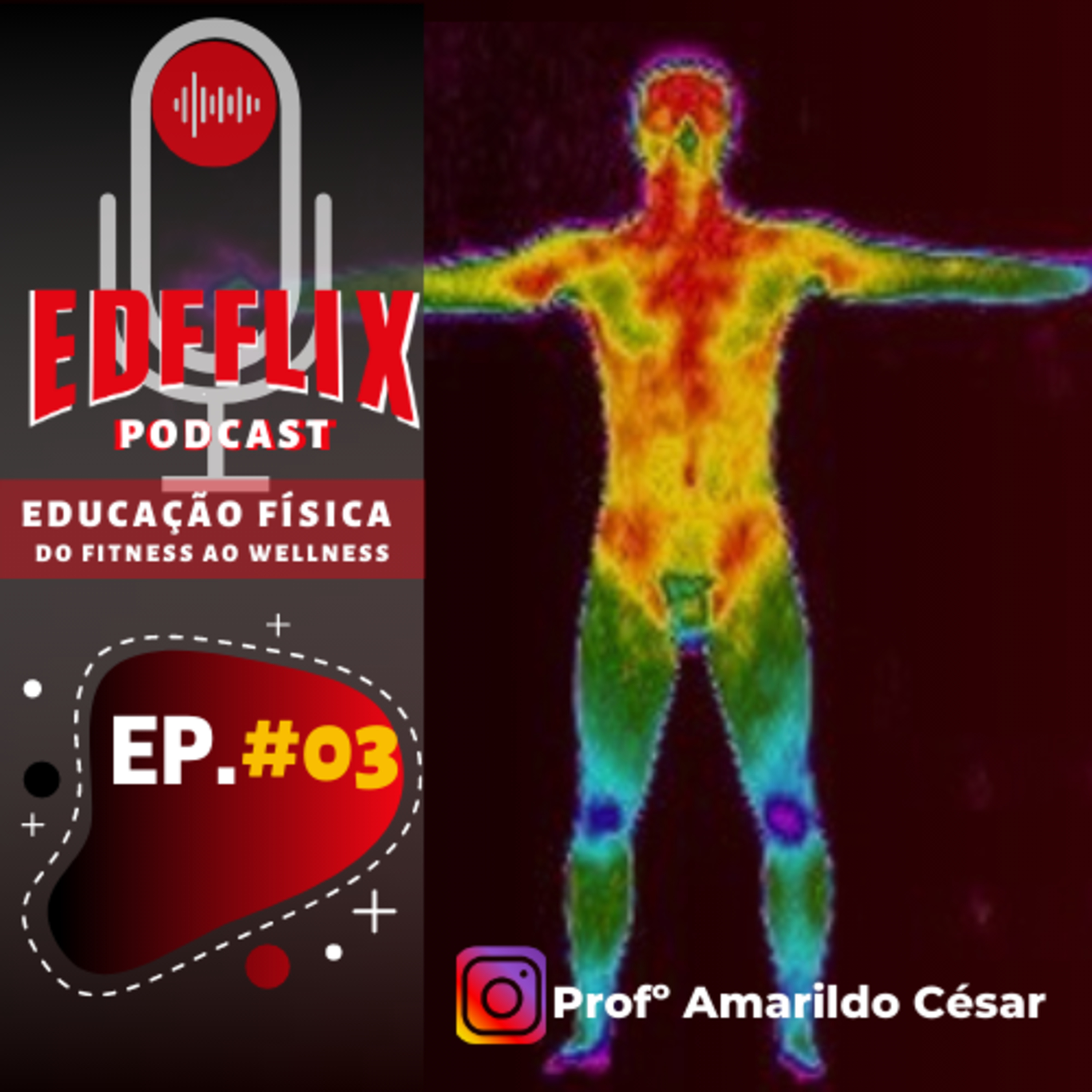EDFFLIX - Educação Física: do Fitness ao Wellness by Profº Amarildo Cesar