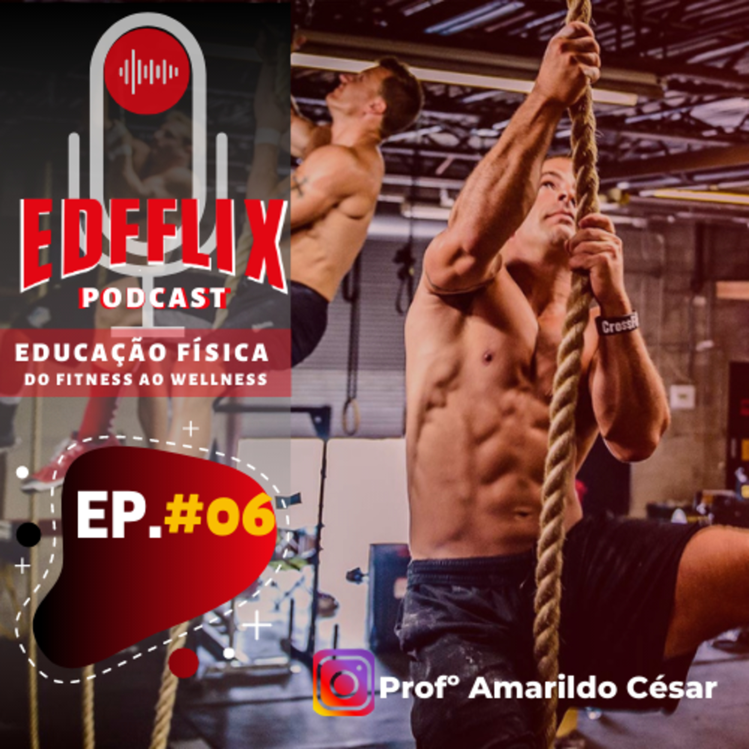 EDFFLIX - Educação Física: do Fitness ao Wellness by Profº Amarildo Cesar