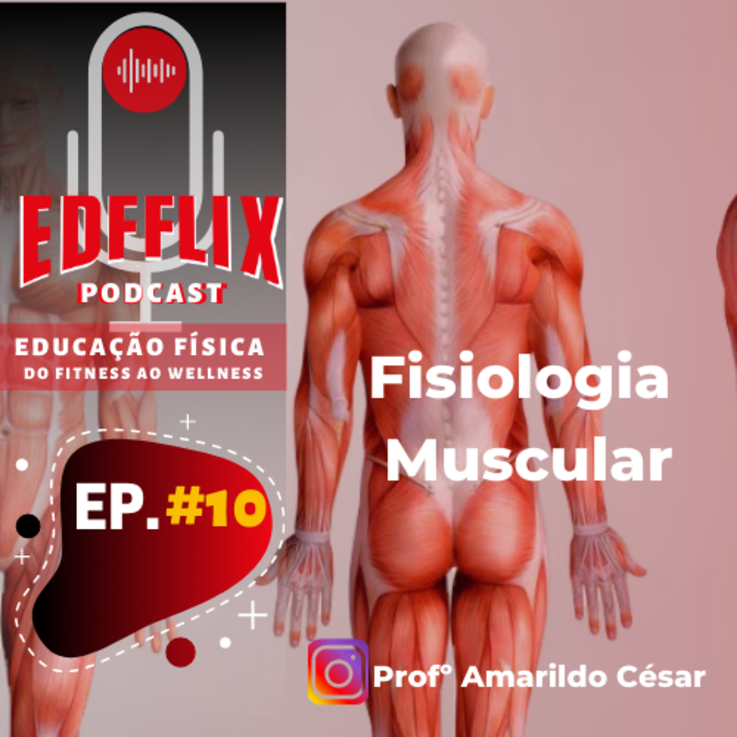 EDFFLIX - Educação Física: do Fitness ao Wellness by Profº Amarildo Cesar