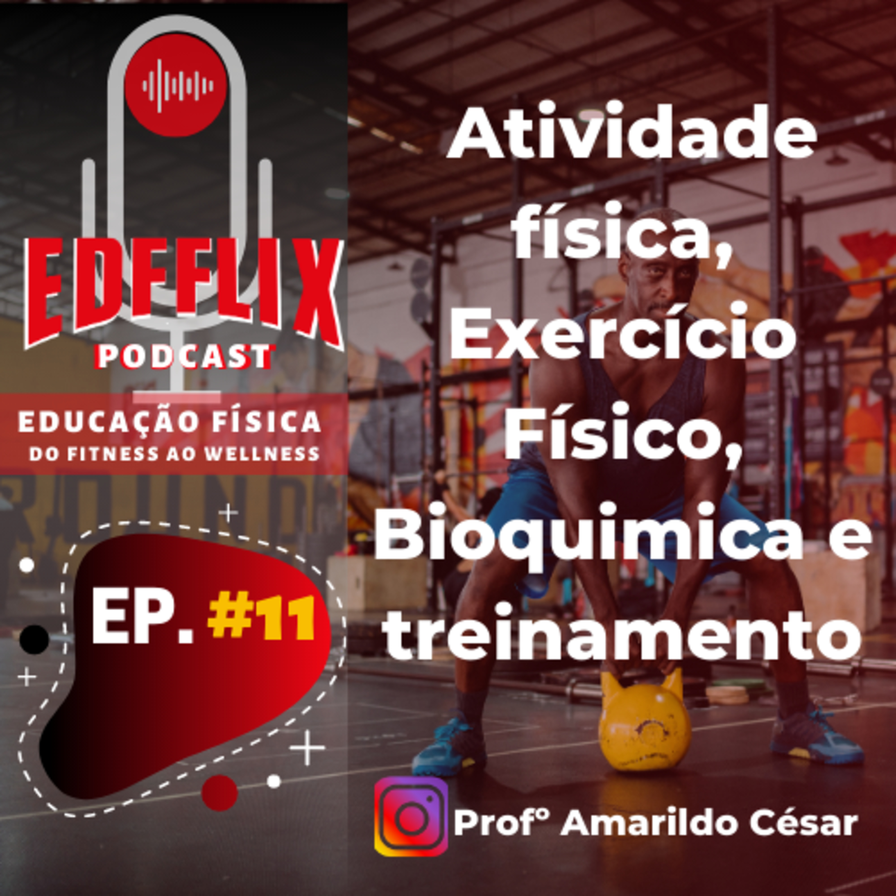 EDFFLIX - Educação Física: do Fitness ao Wellness by Profº Amarildo Cesar