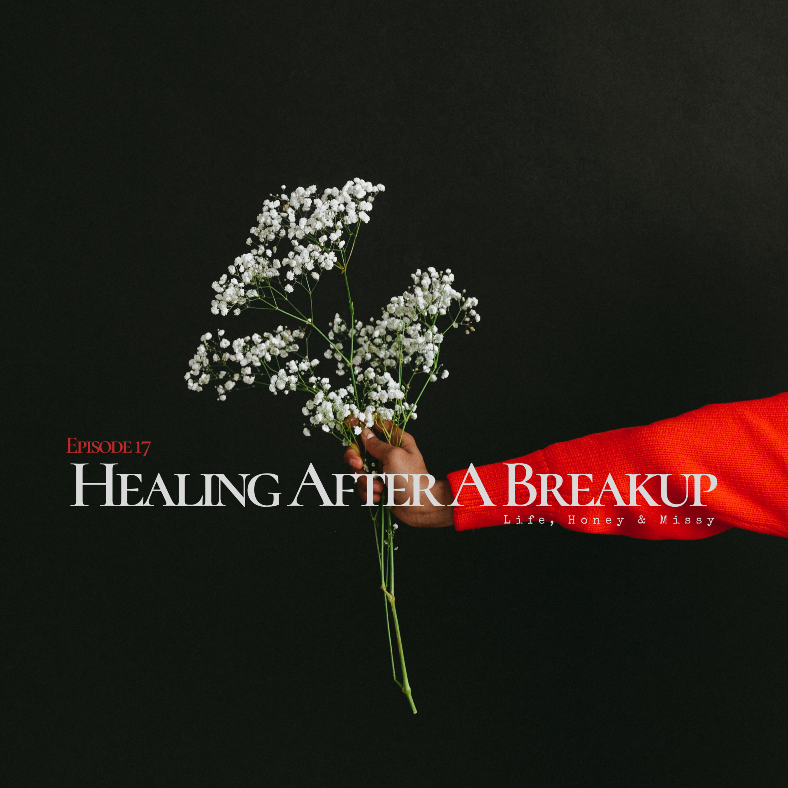 Ep 17 Healing After A Breakup episode artwork