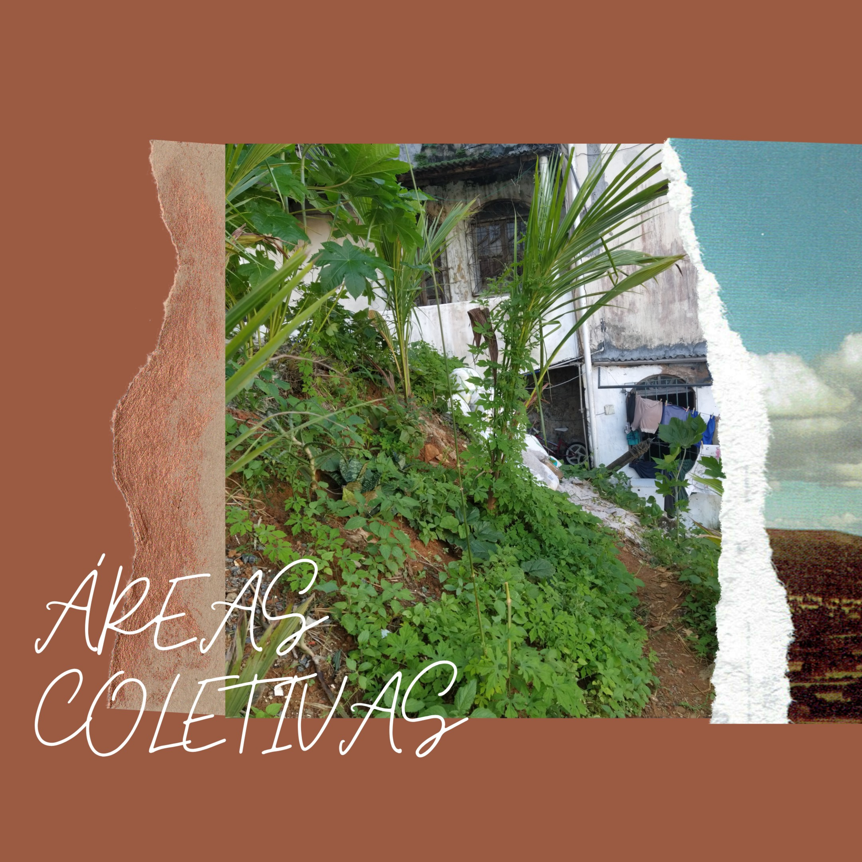 Coletivo Ativista