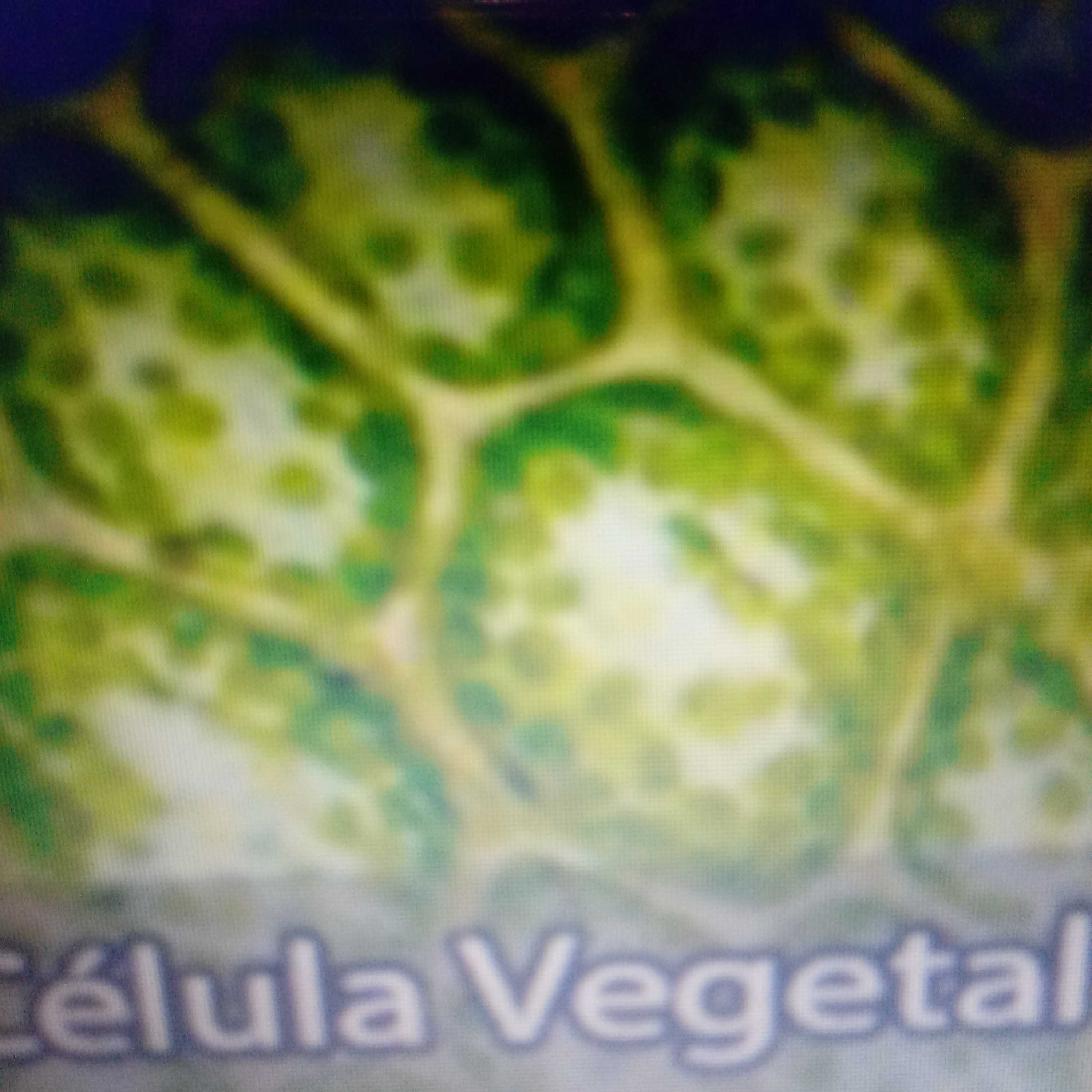 CÉLULAS: VEGETAL E ANIMAL PÓS COACERVADOS episode artwork