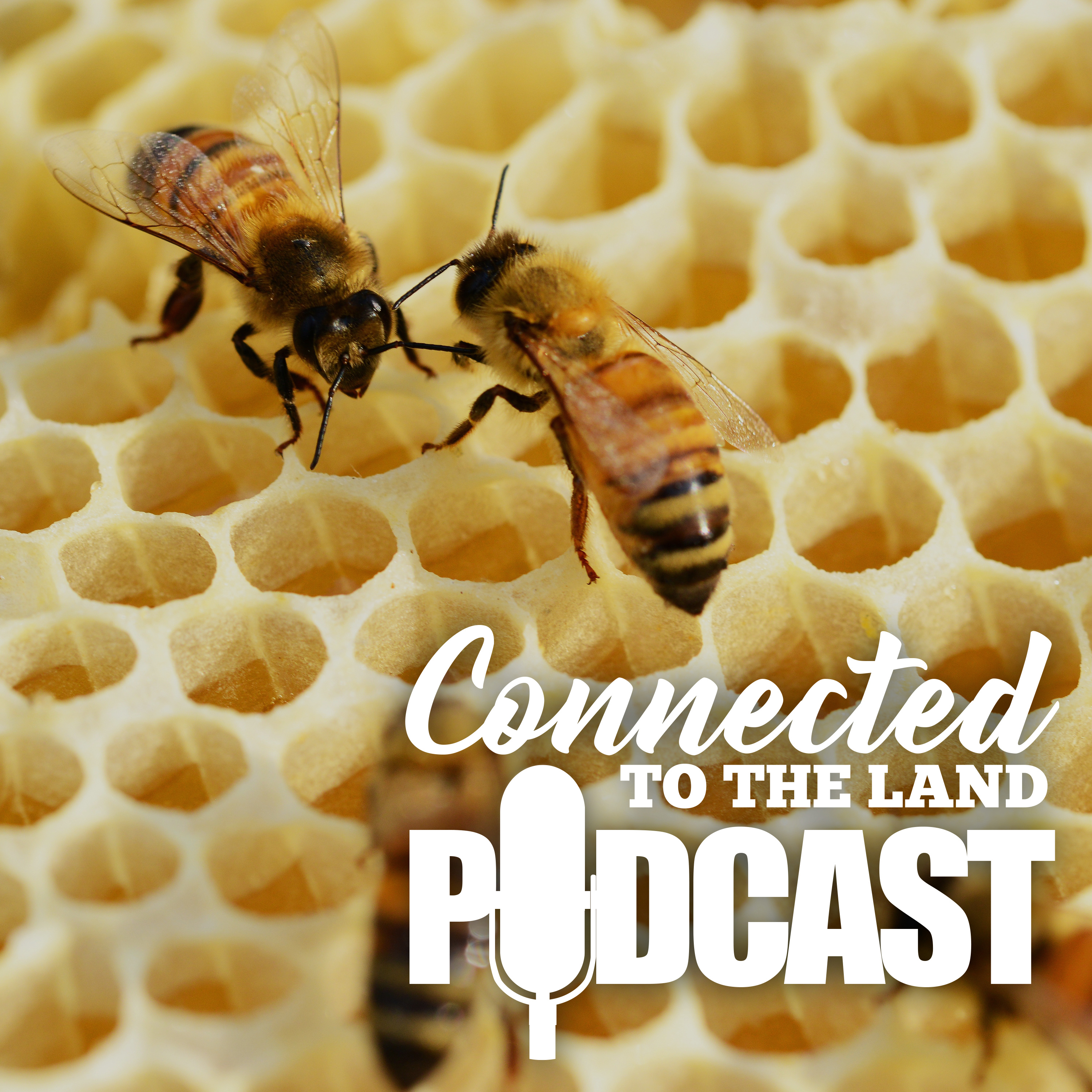 Connected To The Land Podcast