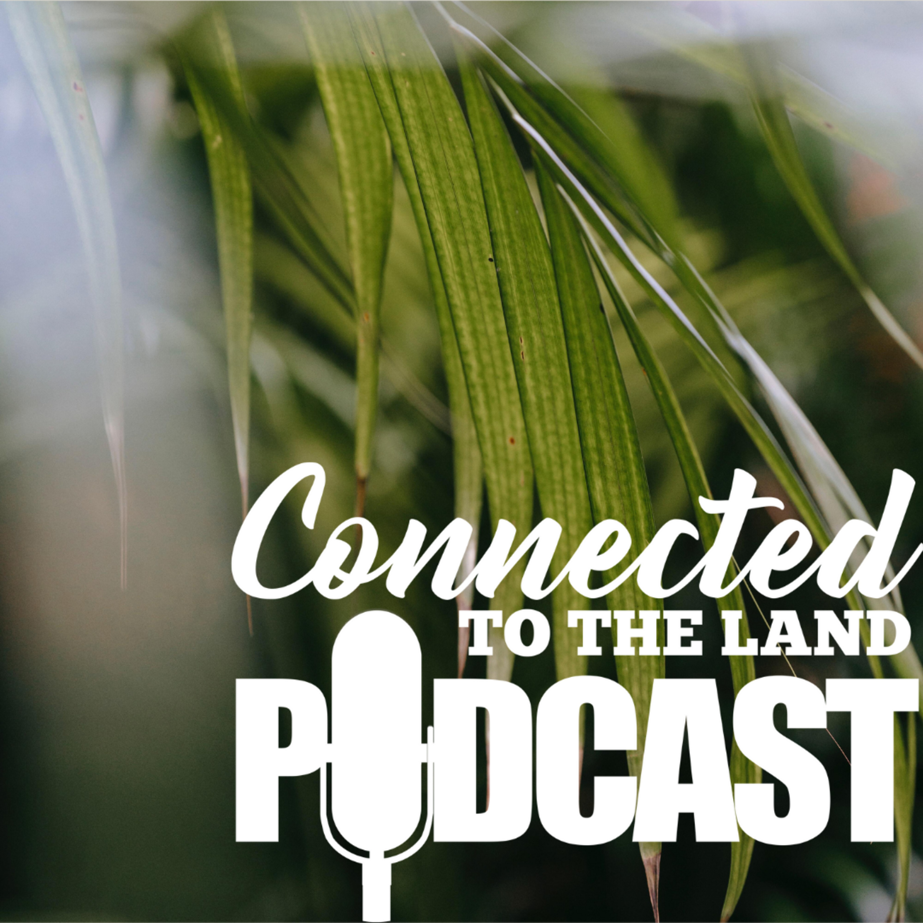 Exotic Plants In A Northern Climate episode artwork