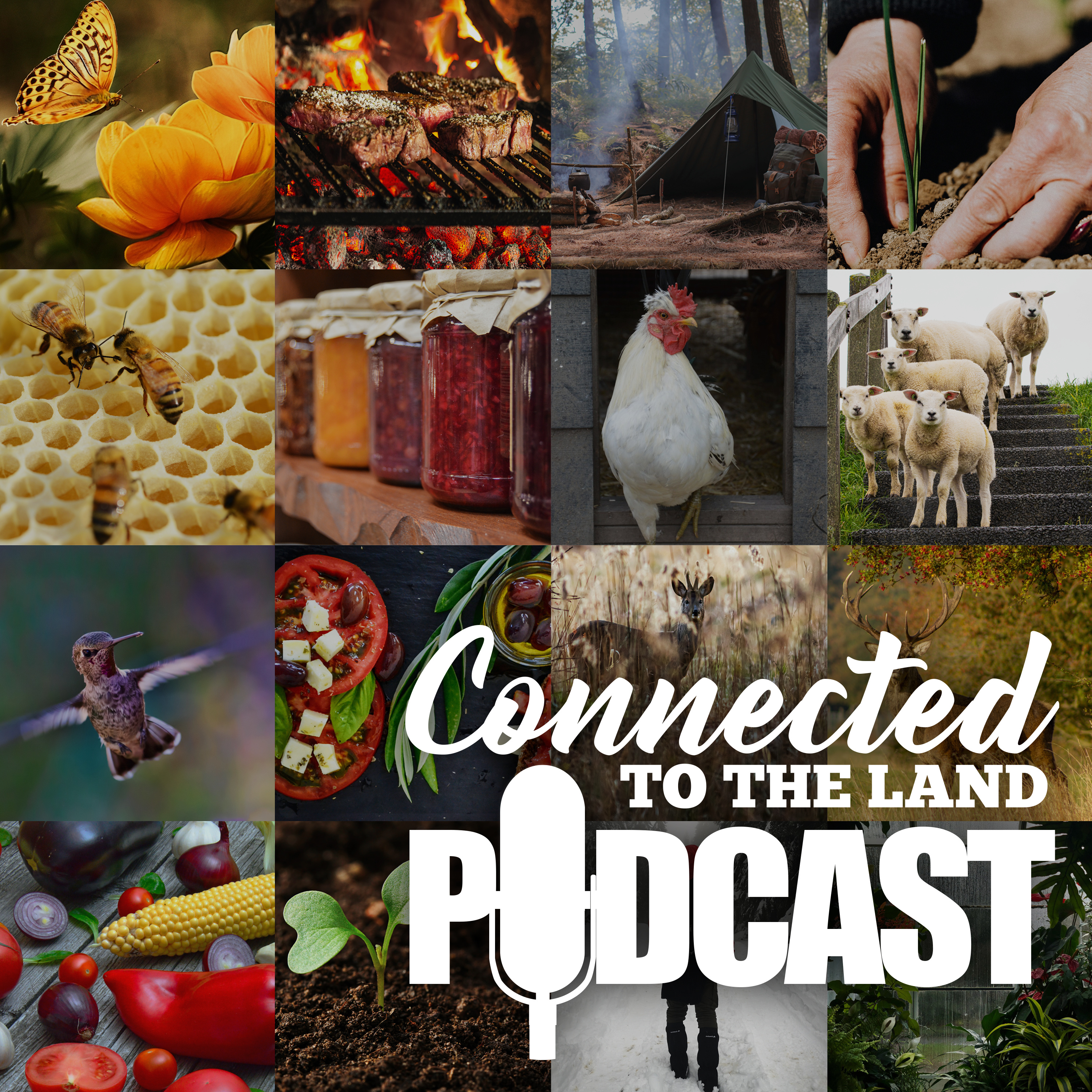 Fostering The Connection: A Podcast Journey episode artwork
