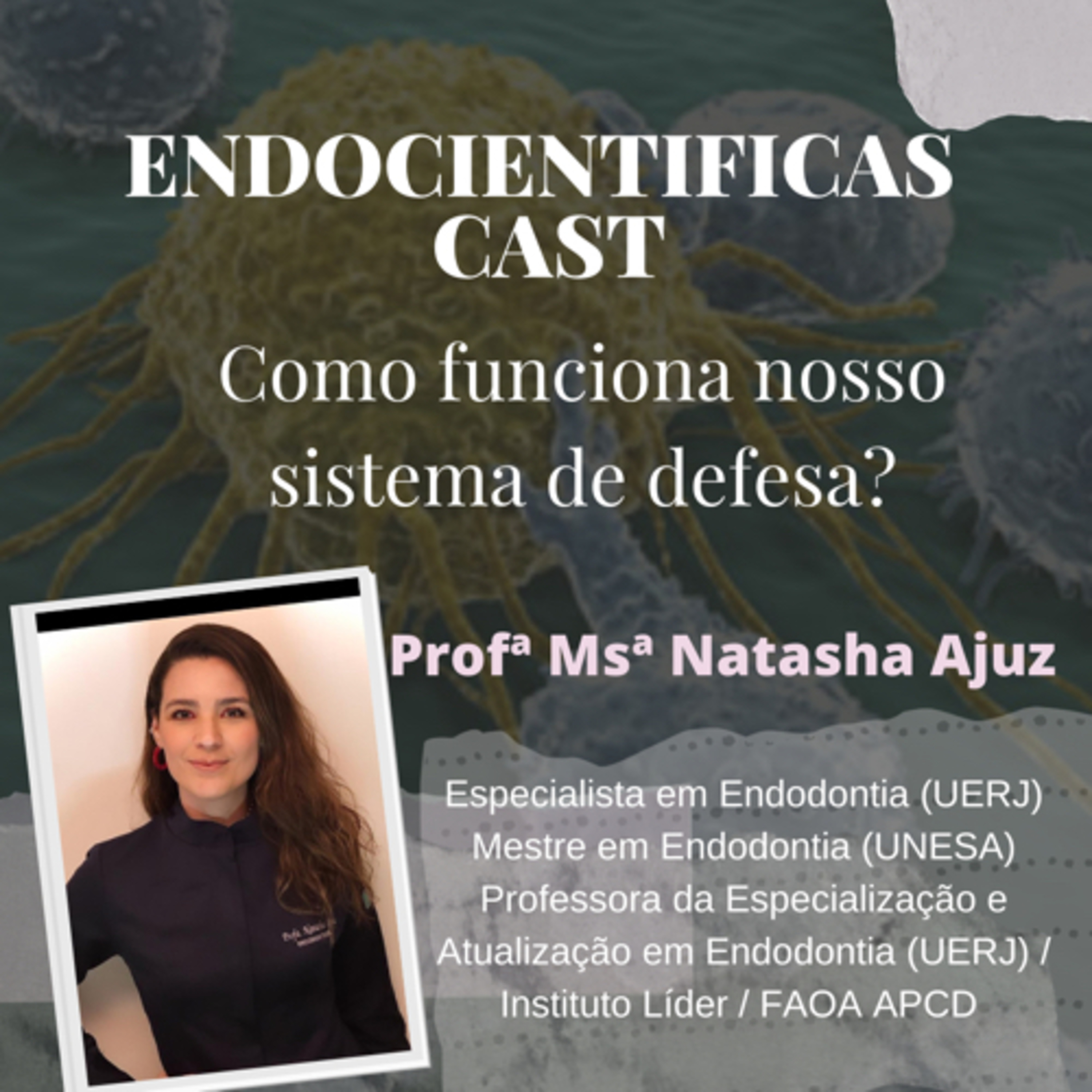 Como funciona nosso sistema de defesa?
