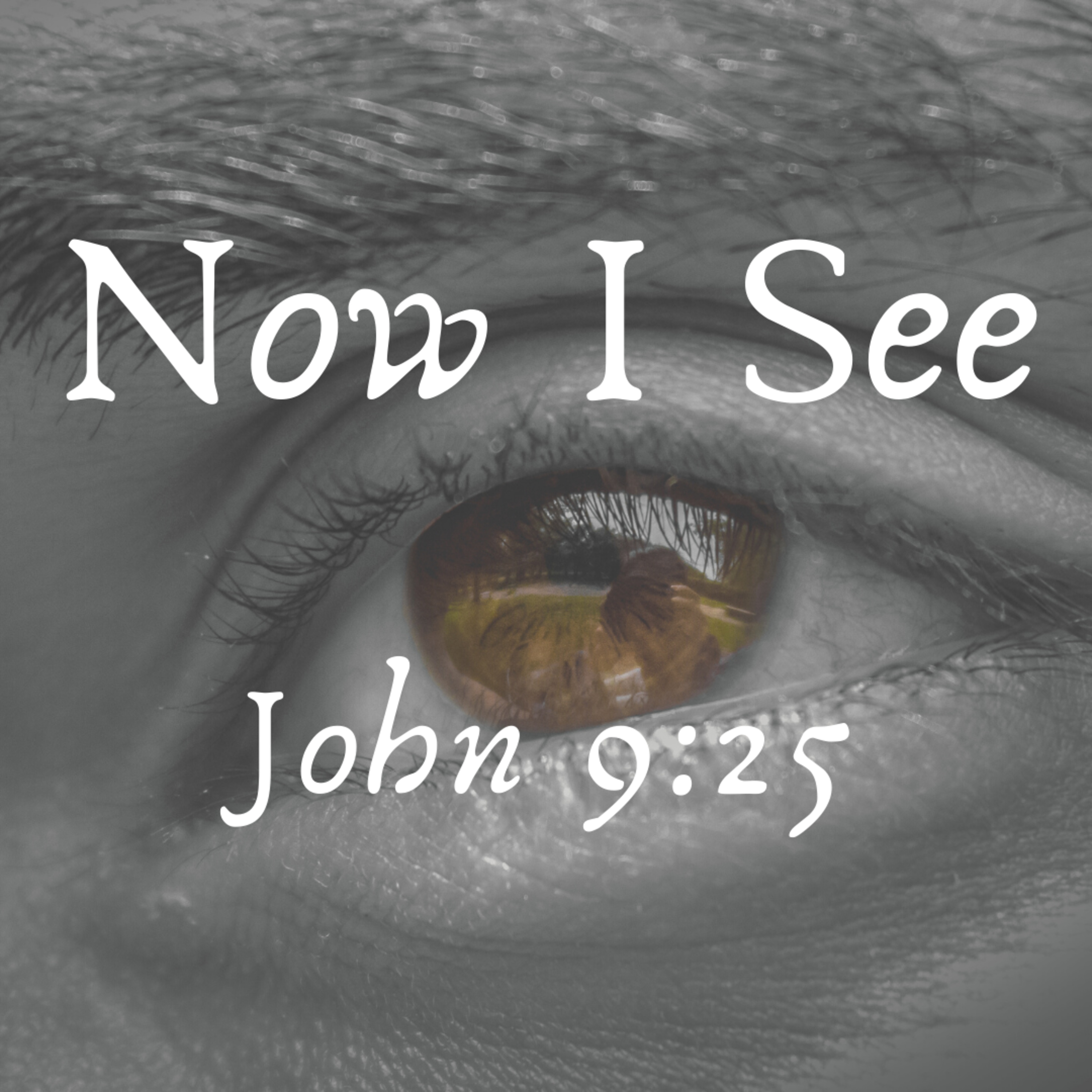 Reflections From My Morning Walk