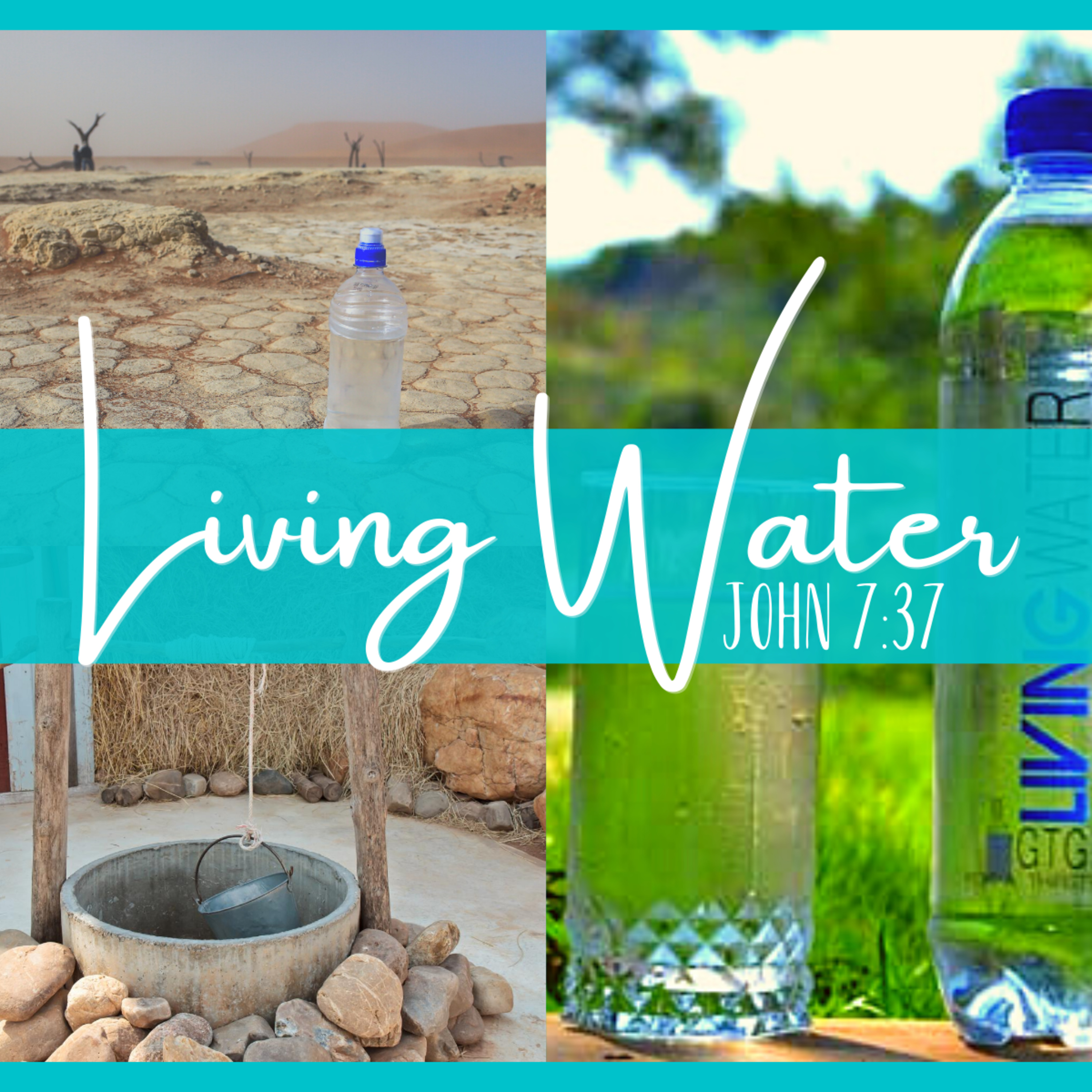 Reflections From My Morning Walk