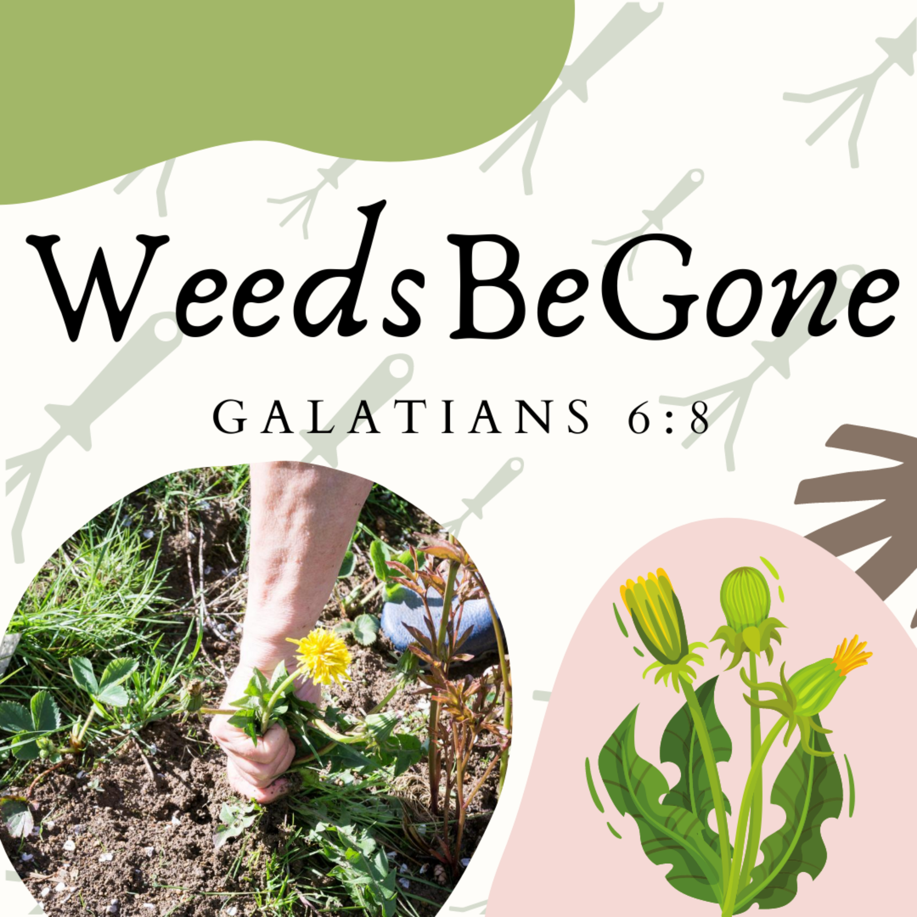 Reflections From My Morning Walk