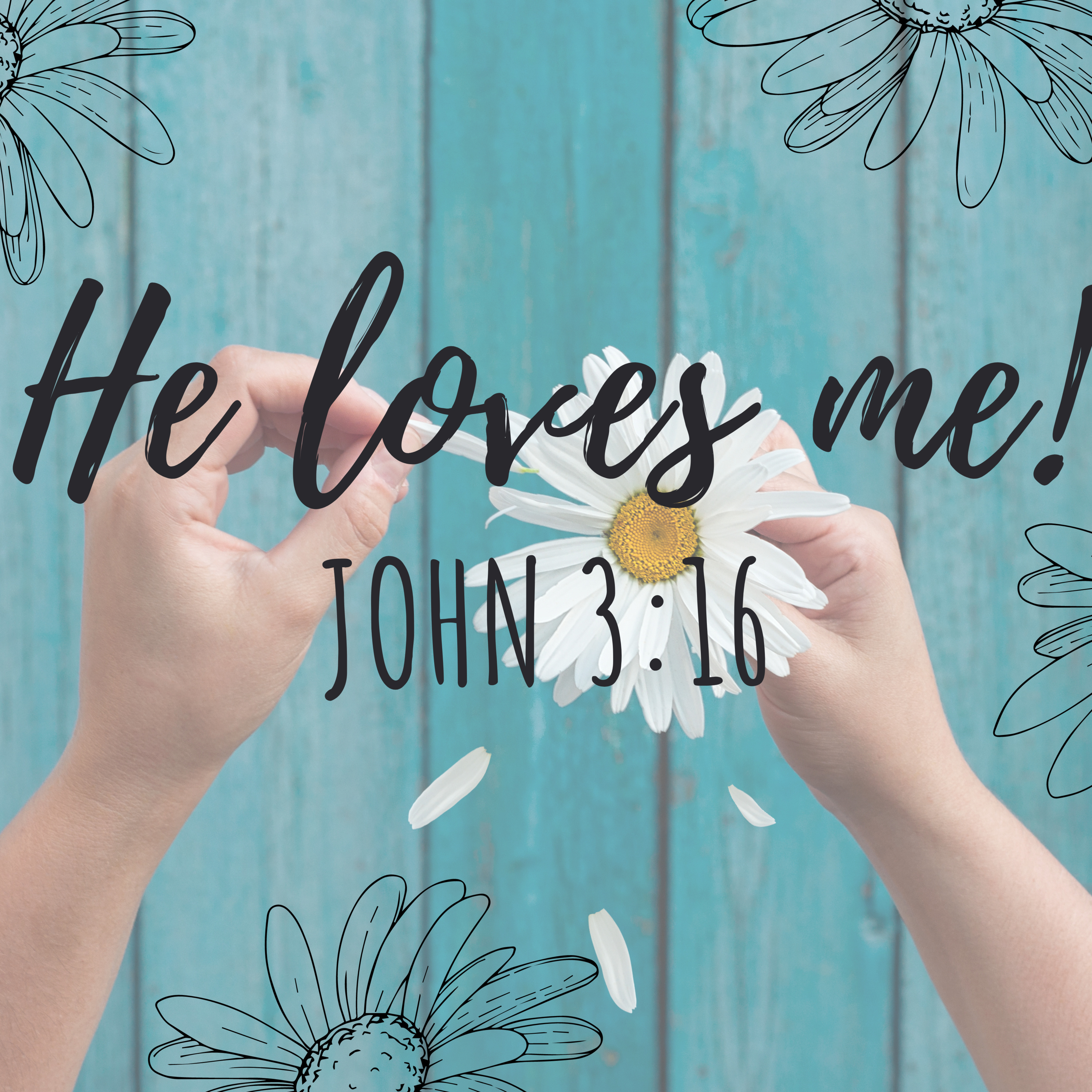 Reflections From My Morning Walk