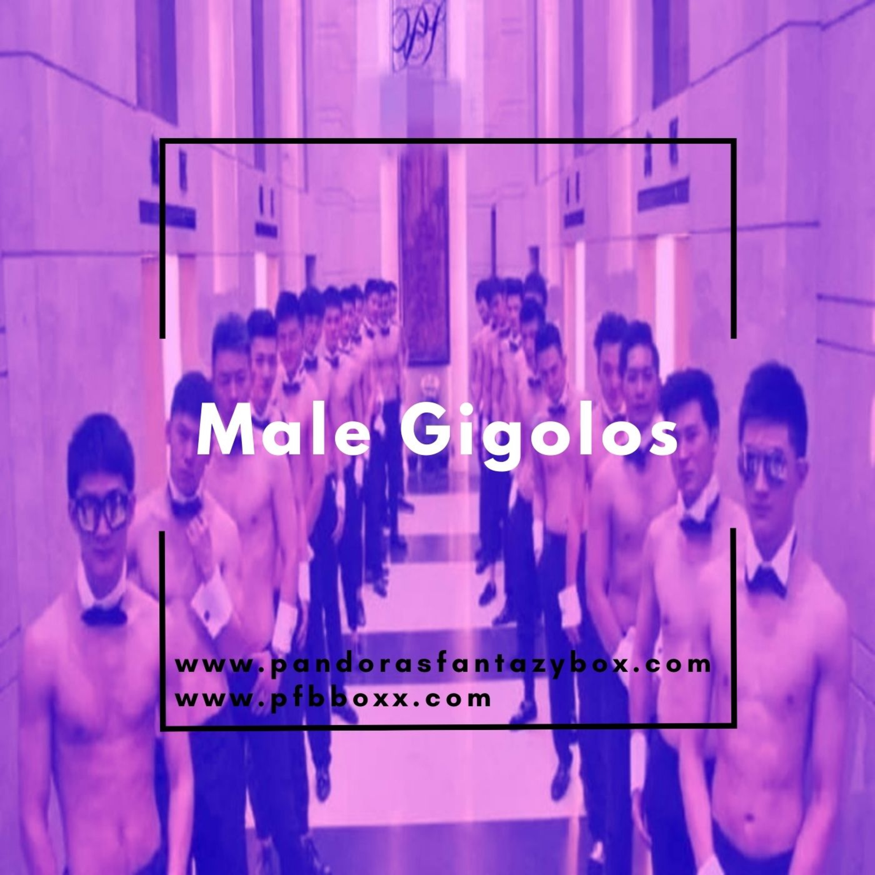 Male Gigolos episode artwork
