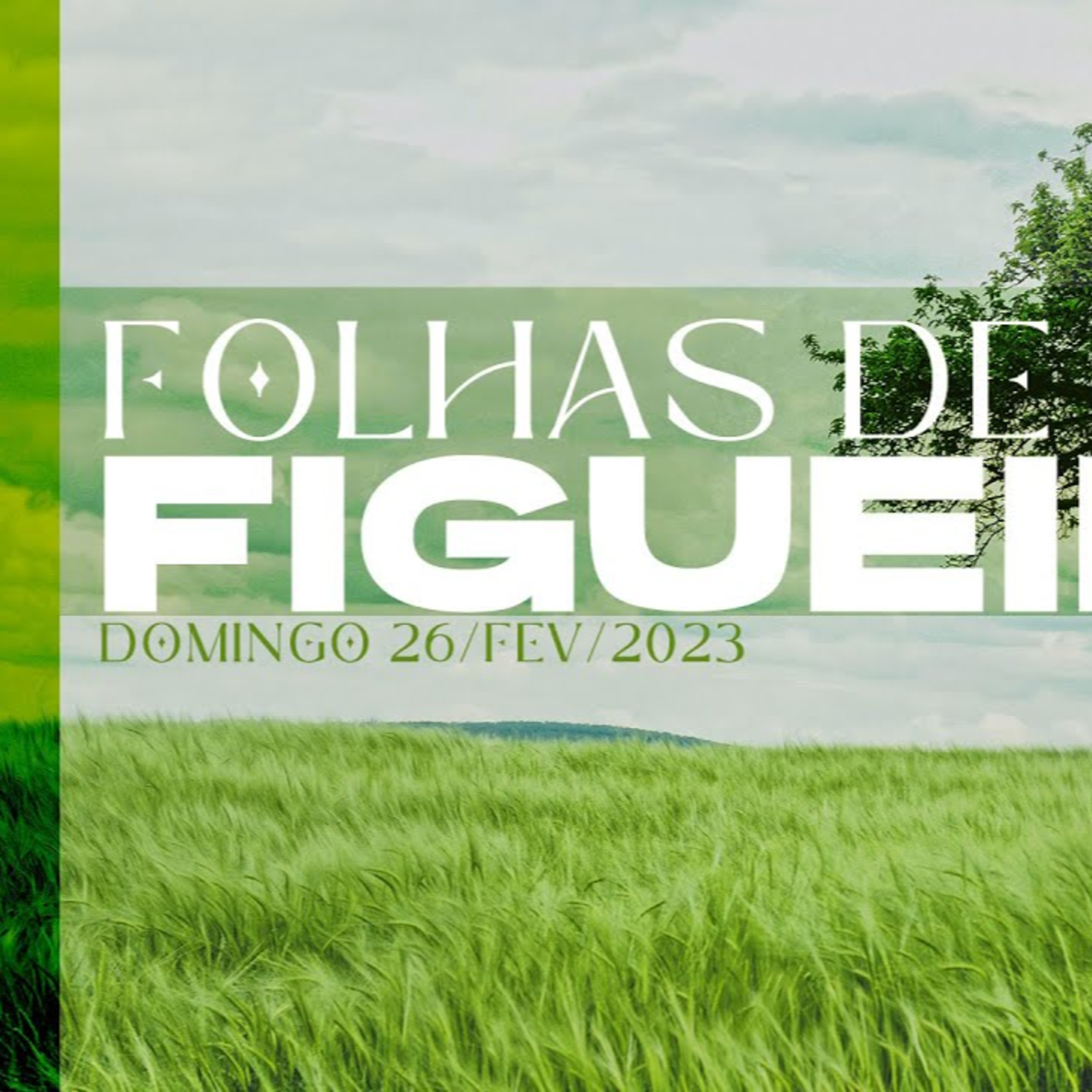Folhas de figueira | Palavra de Vida e Fé