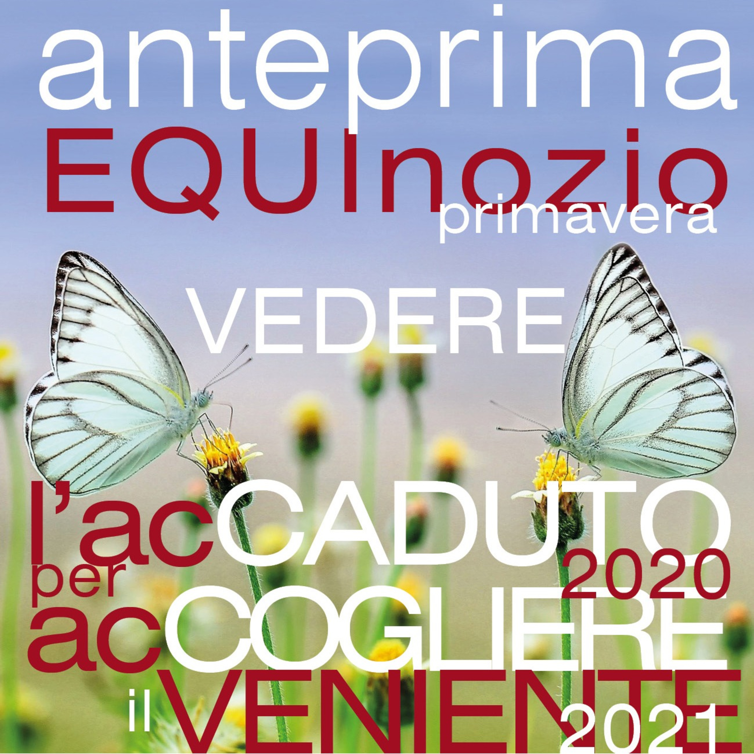 Oltre il Velo - un Podcast di Paola Marangoni