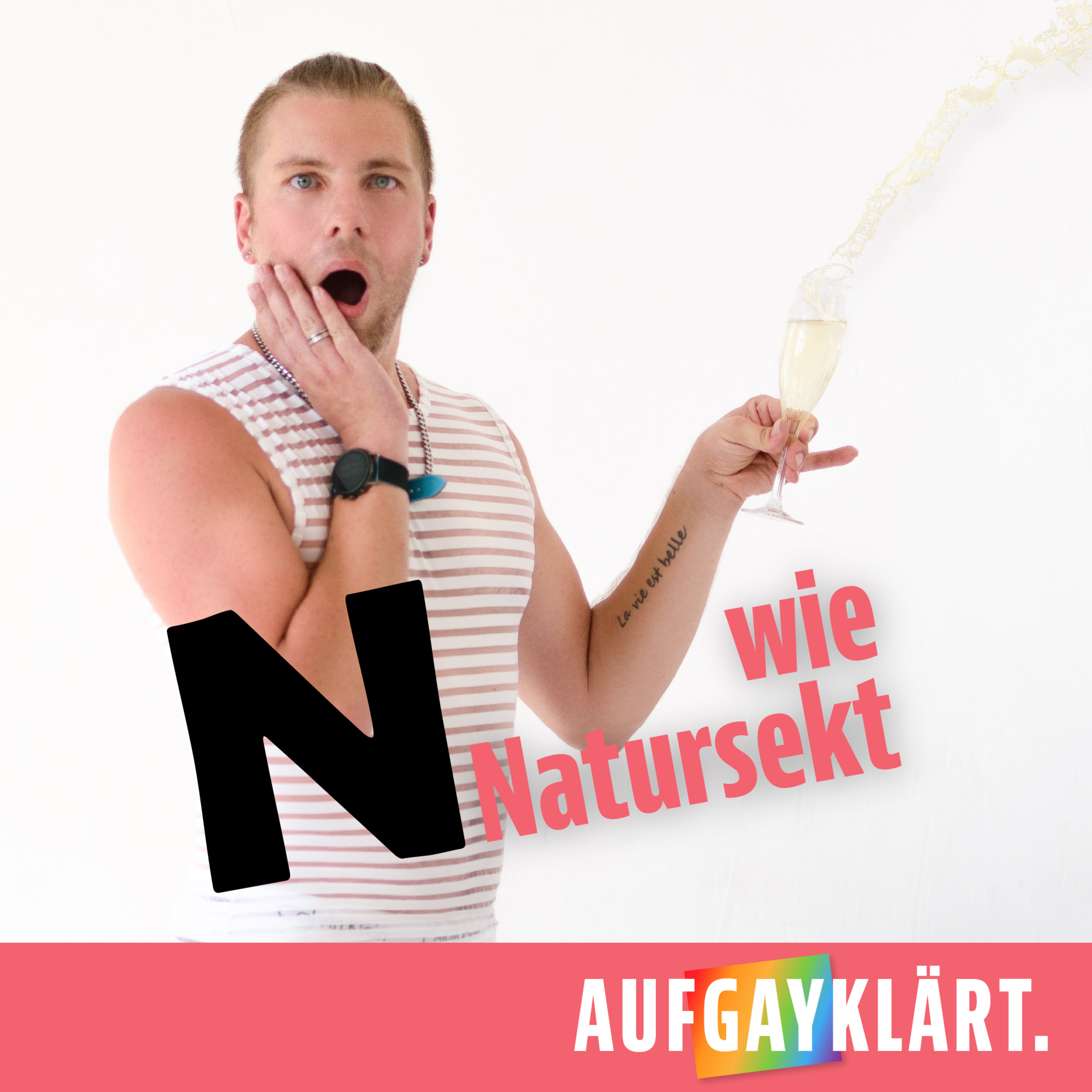 AufGAYklärt