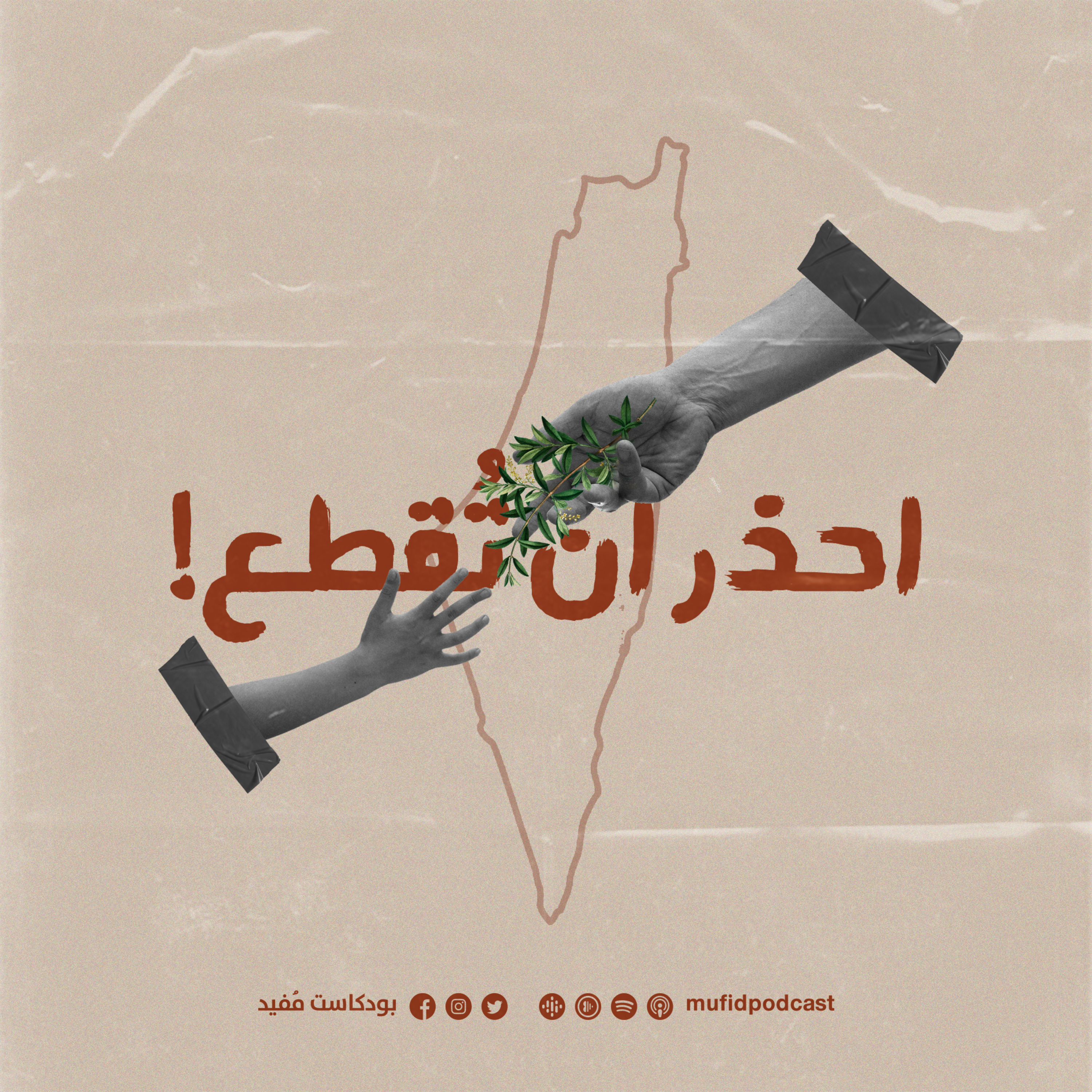 3. قصفة زيتون: كيف نورَّثها؟