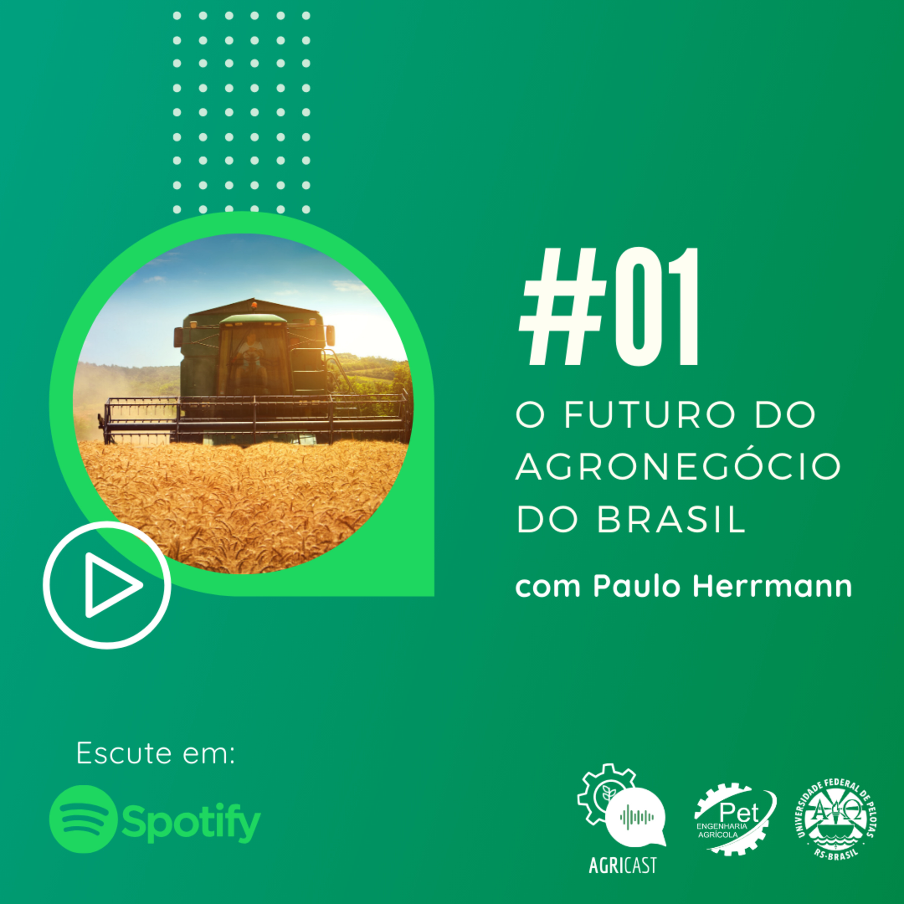 Petinho Básico
