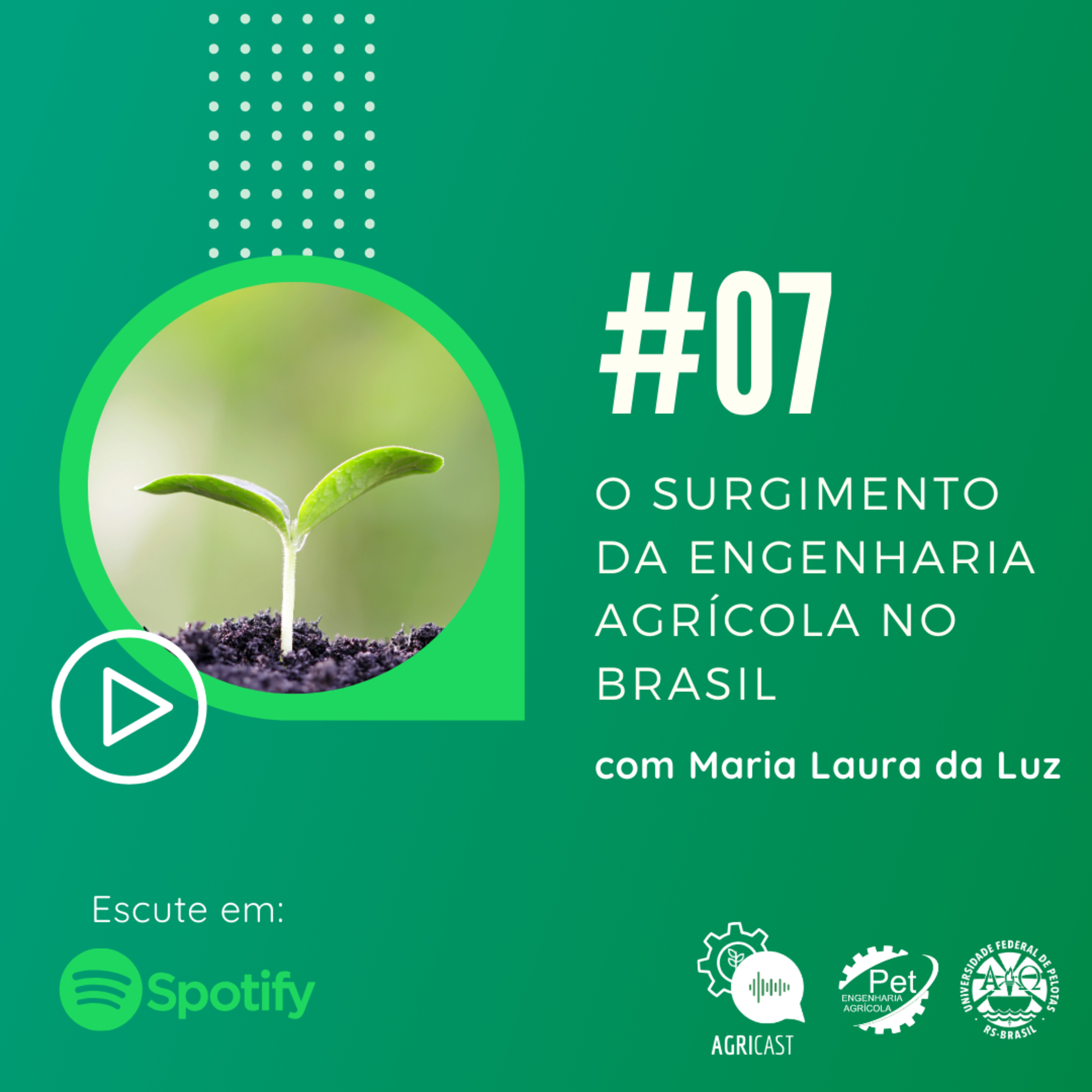 Petinho Básico