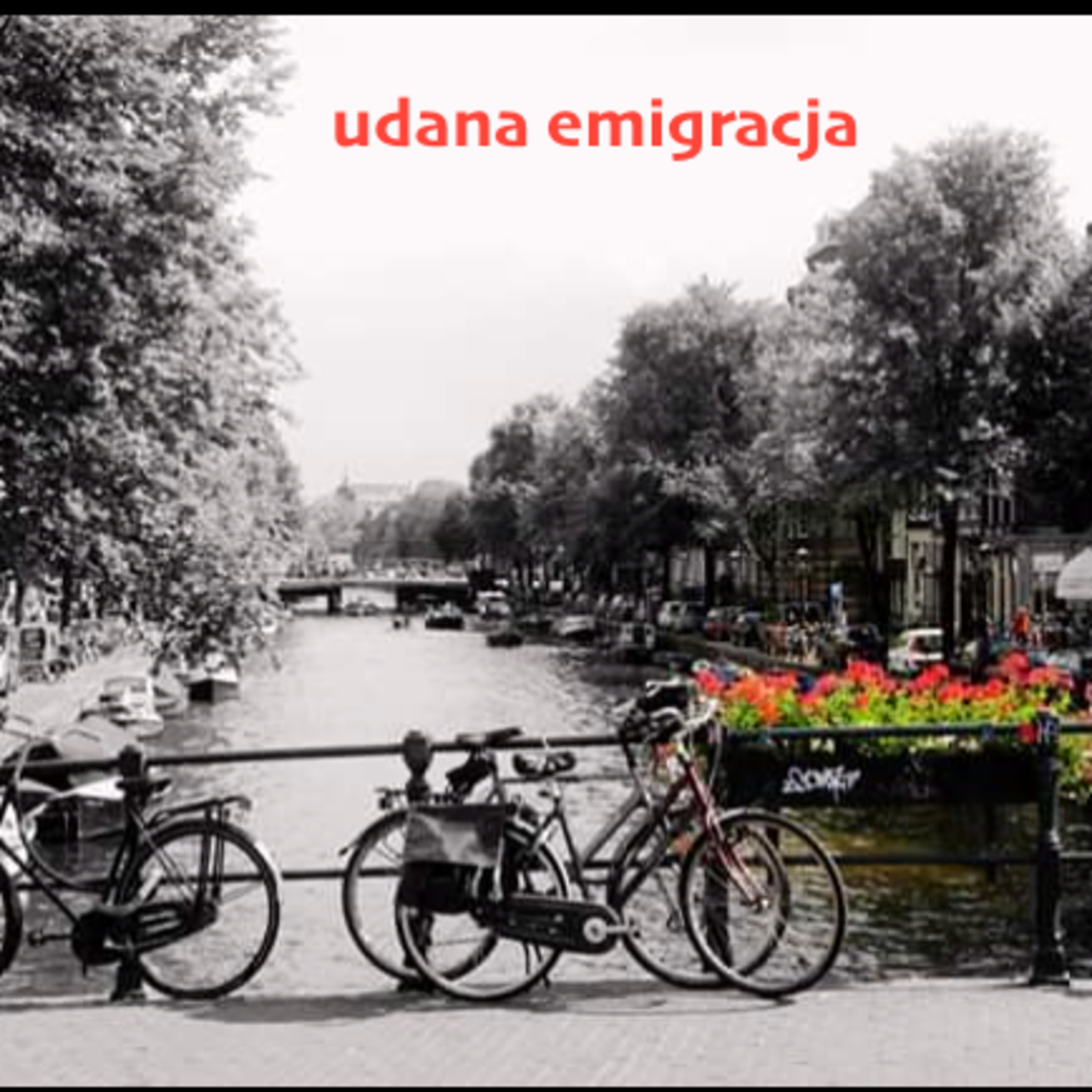 udana emigracja