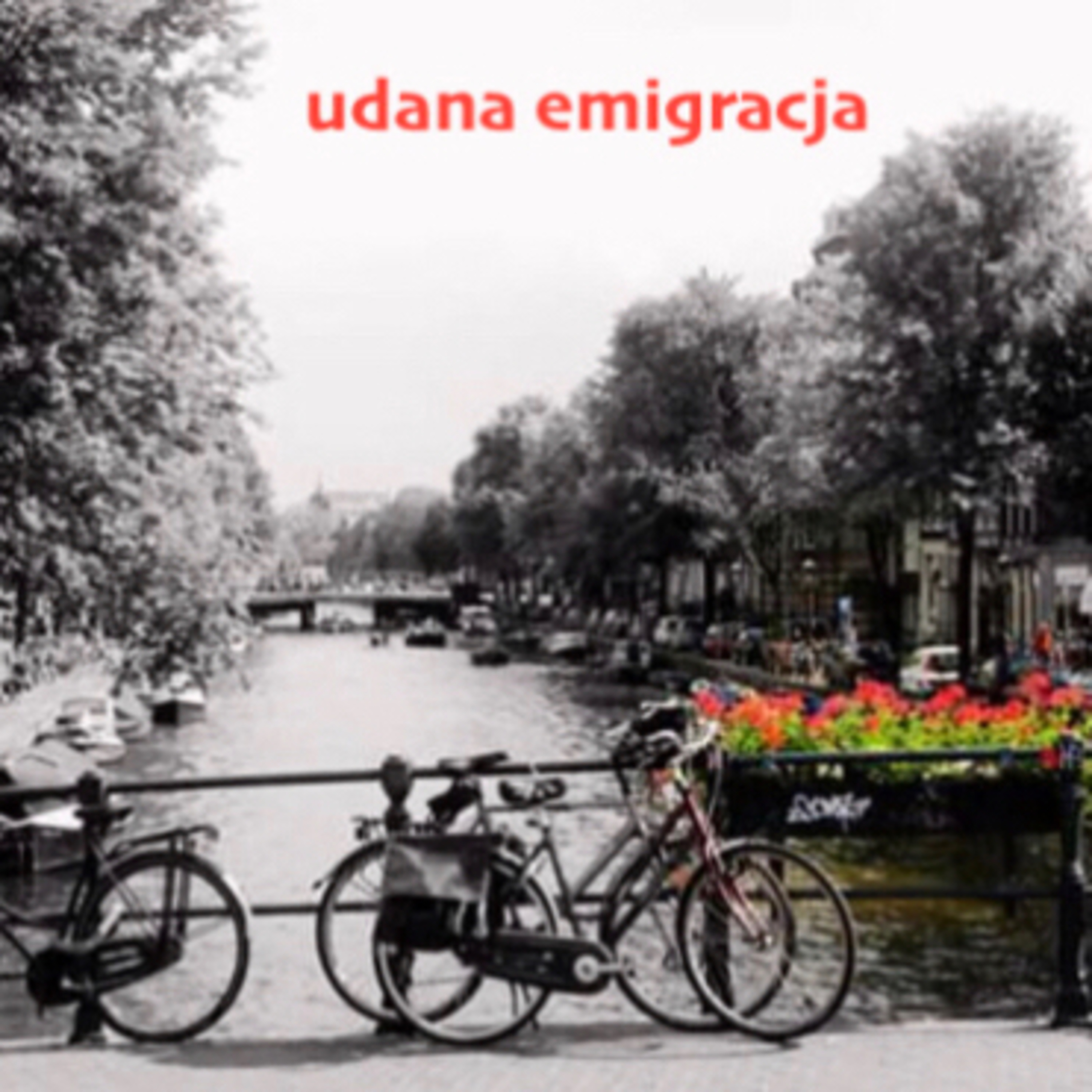 udana emigracja
