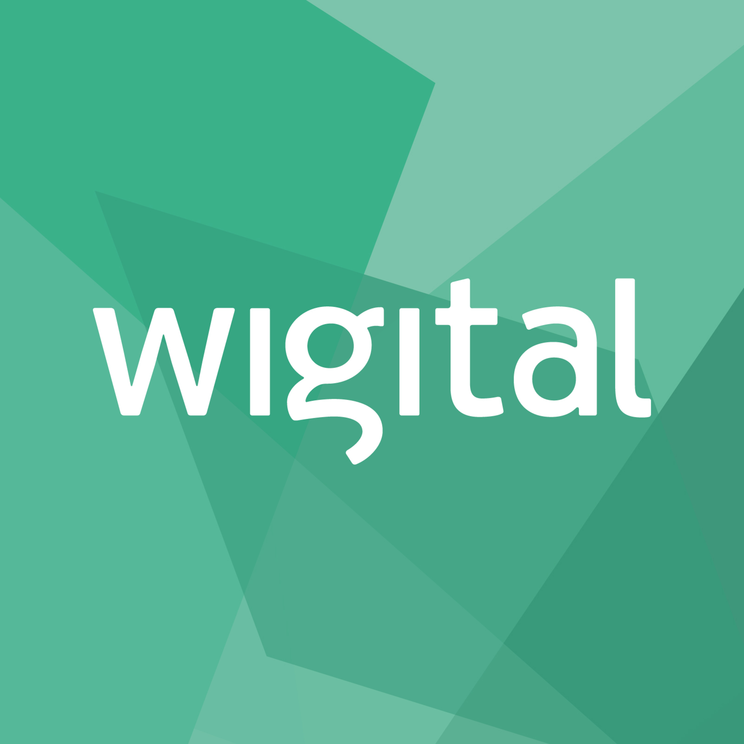 wigital - die Kieler Digitalagentur auf den Punkt.