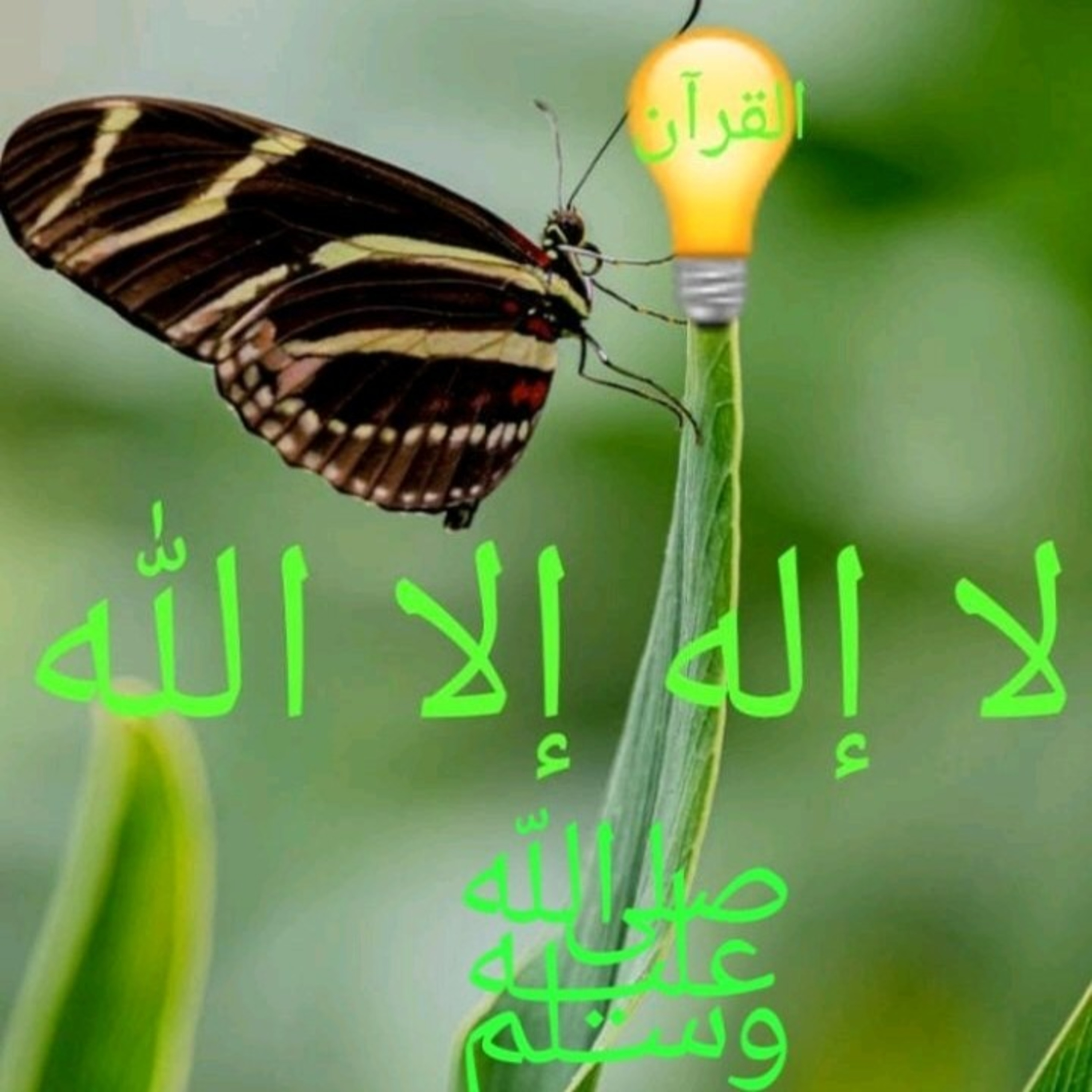 Sura Al-Mujadila 58 (بِسۡمِ ٱللَّهِ ٱلرَّحۡمَـٰنِ ٱلرَّحِیمِ) episode artwork