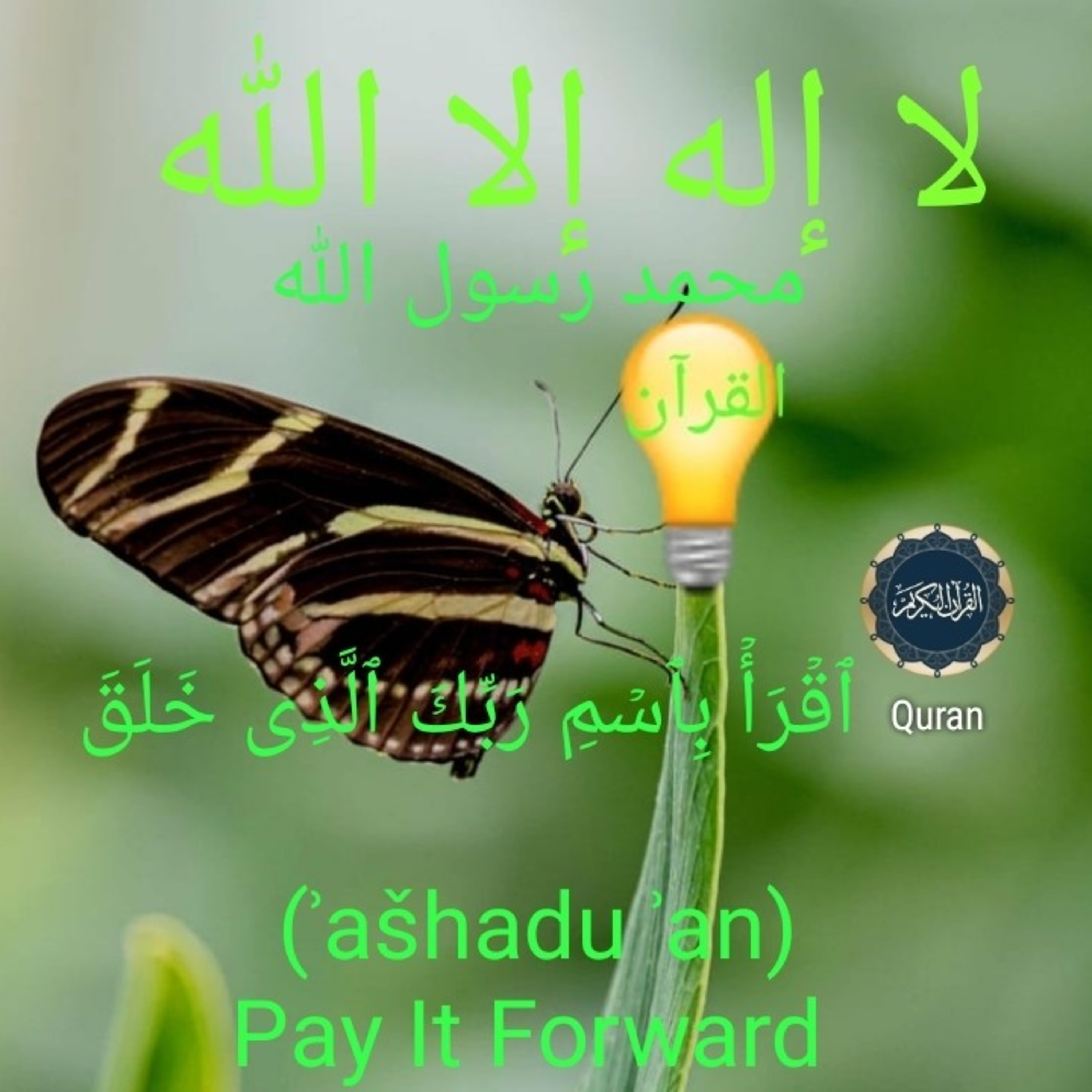 Surah # As-saf 61 (بِسۡمِ ٱللَّهِ ٱلرَّحۡمَـٰنِ ٱلرَّحِیمِ)  episode artwork