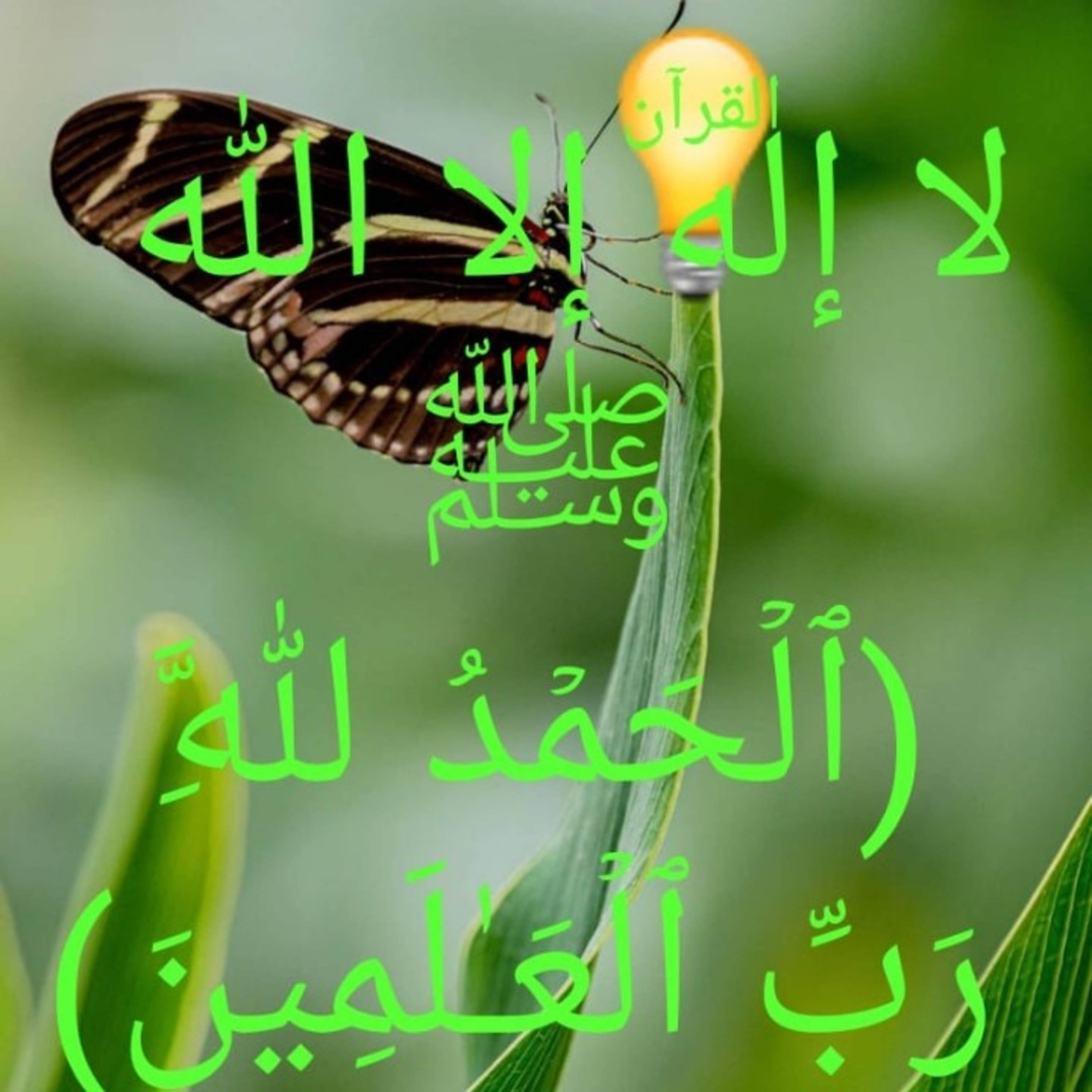 Surah Al-Kawthar #108 (بِسۡمِ ٱللَّهِ ٱلرَّحۡمَـٰنِ ٱلرَّحِیمِ)