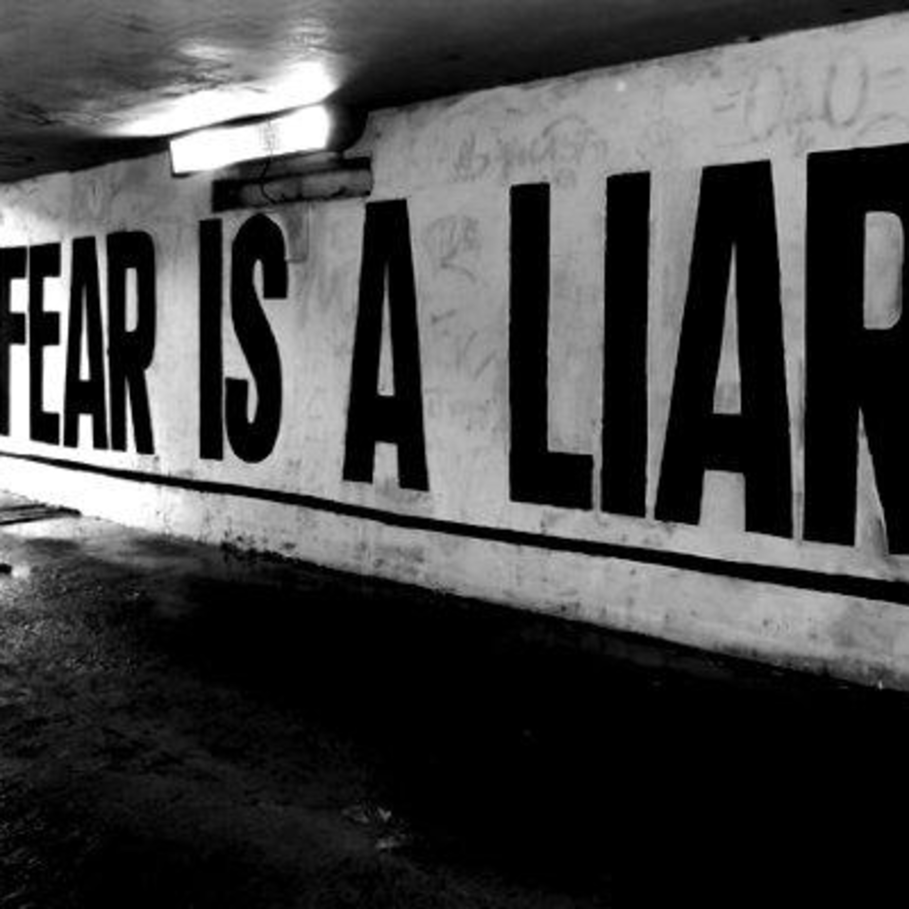 FEAR SHMEAR episode artwork
