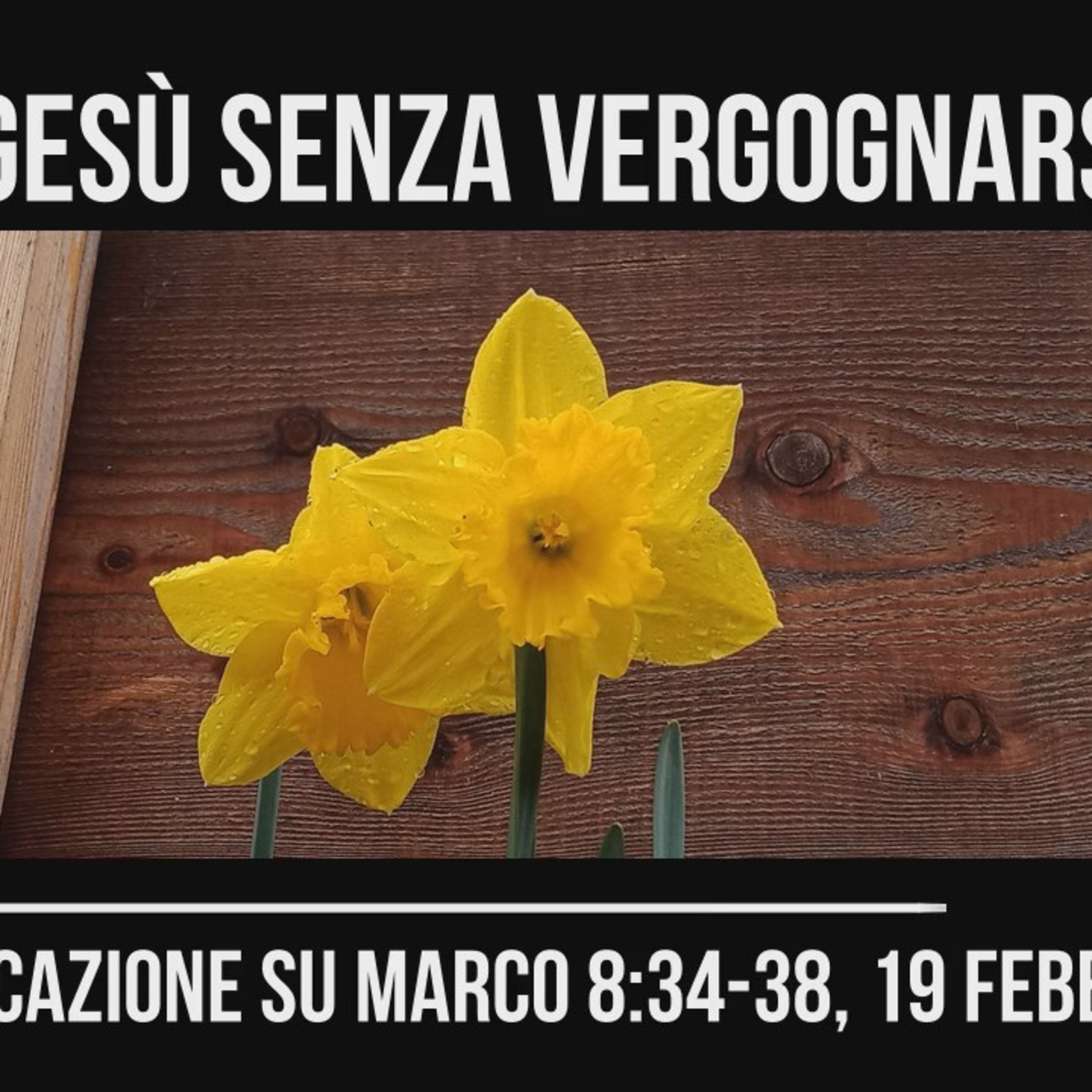 Seguire Gesù senza vergognarsi - Marco 8:34-38