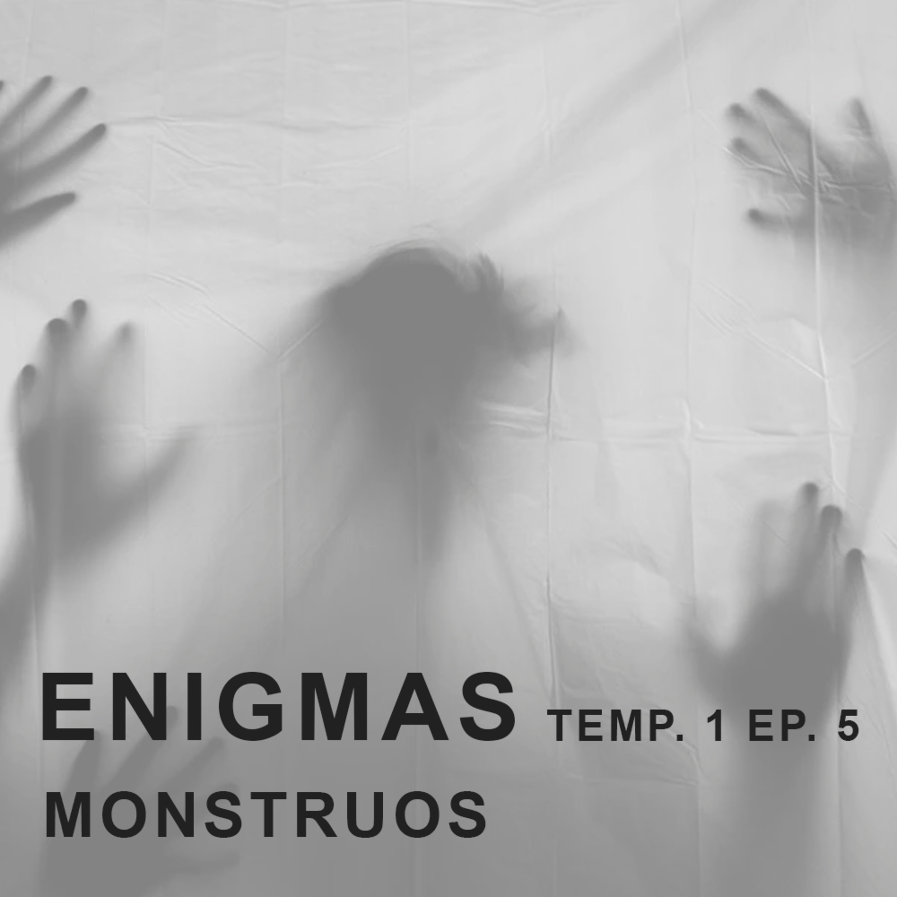 ENIGMAS. Ep. 5. Monstruos episode artwork