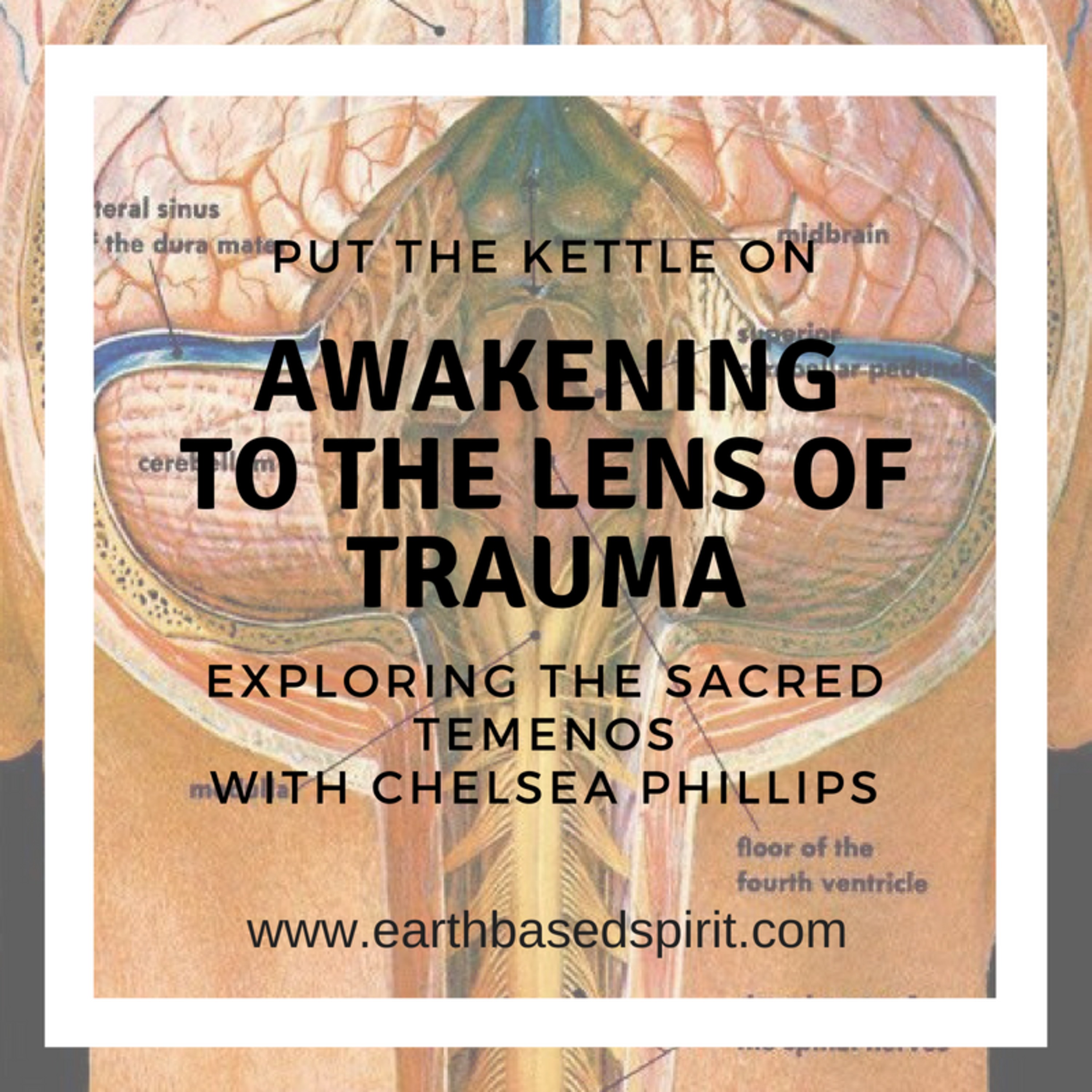 awakening to the lens of trauma episode artwork