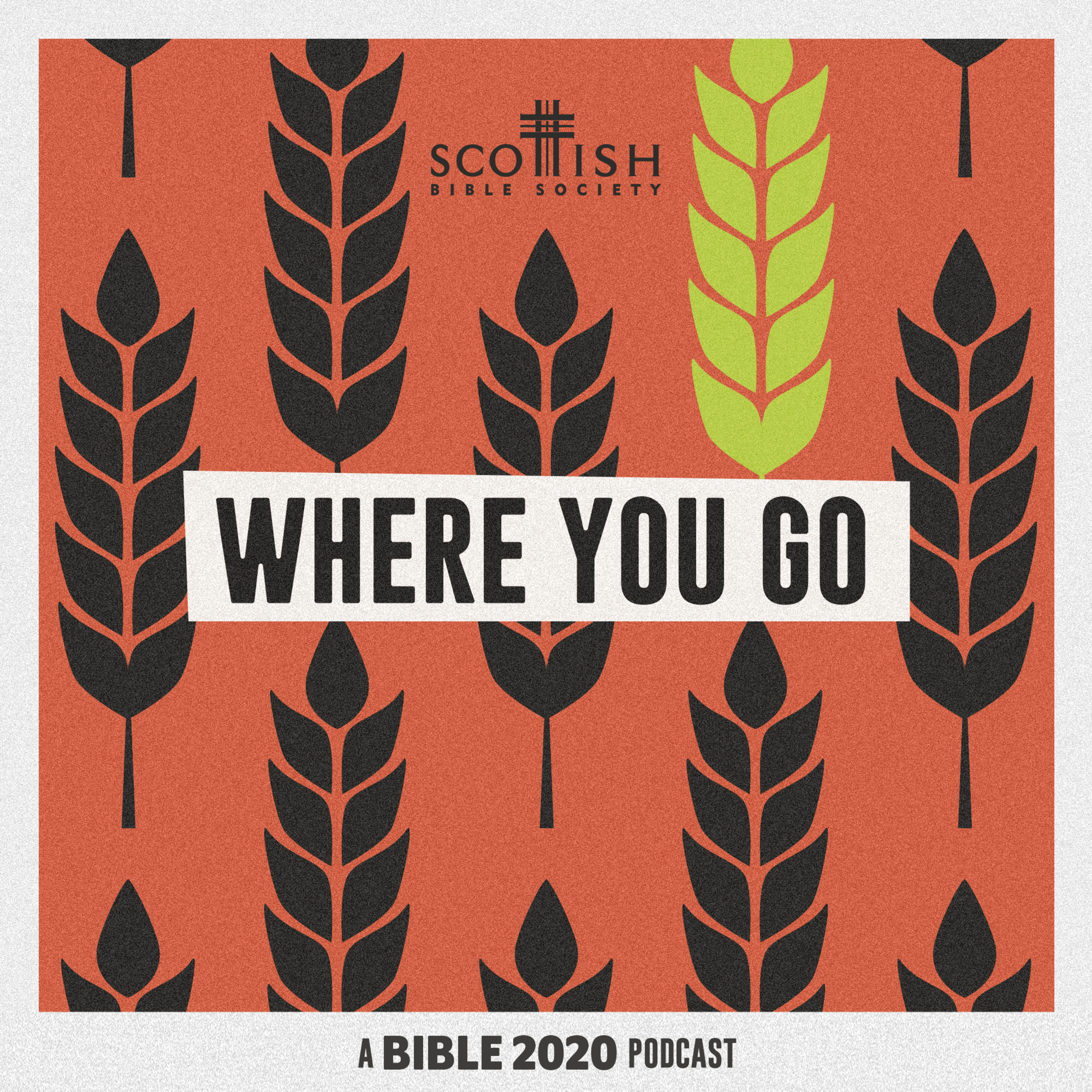 Where You Go