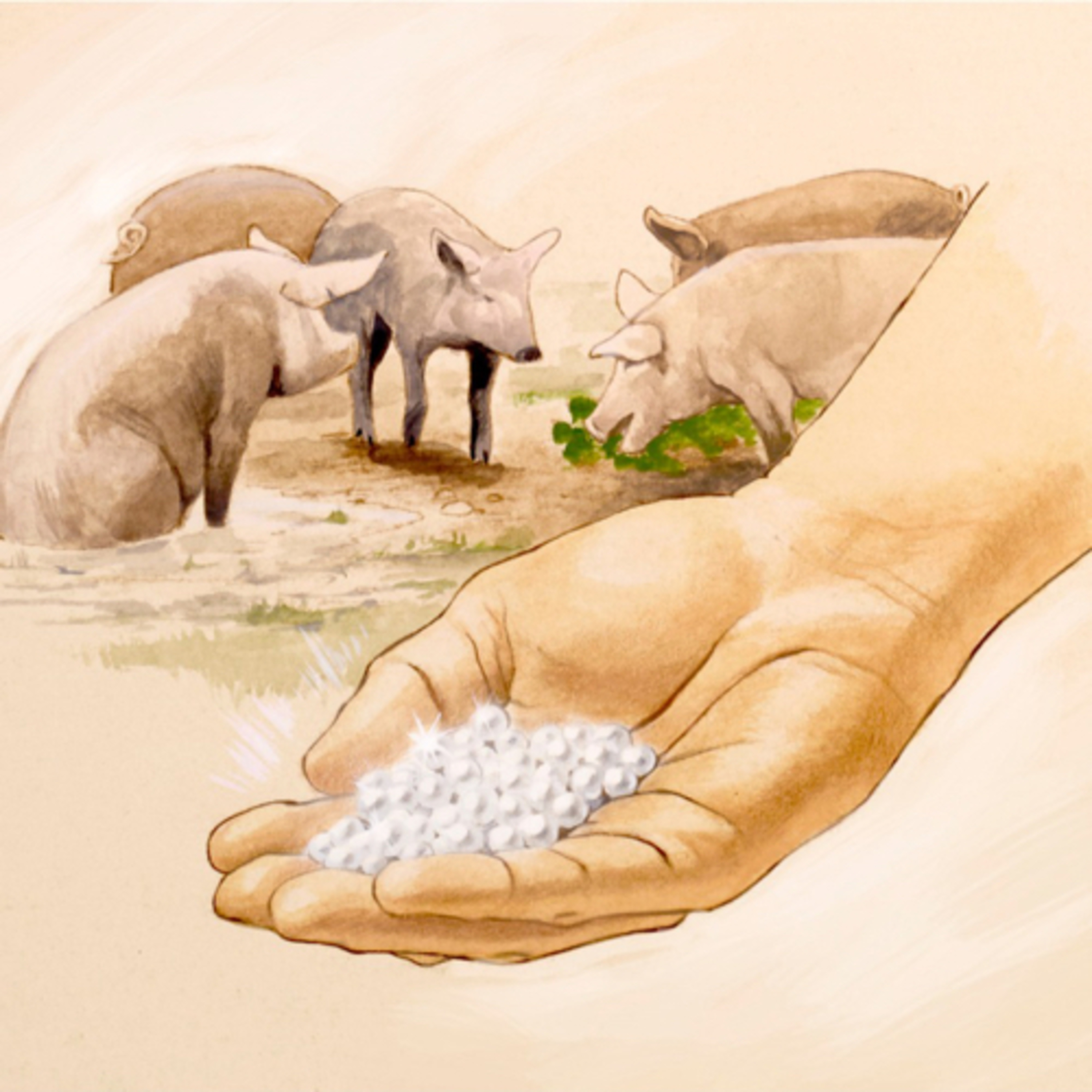 Evangelio del Martes 27 de Junio. Mateo 7,6.12-14.