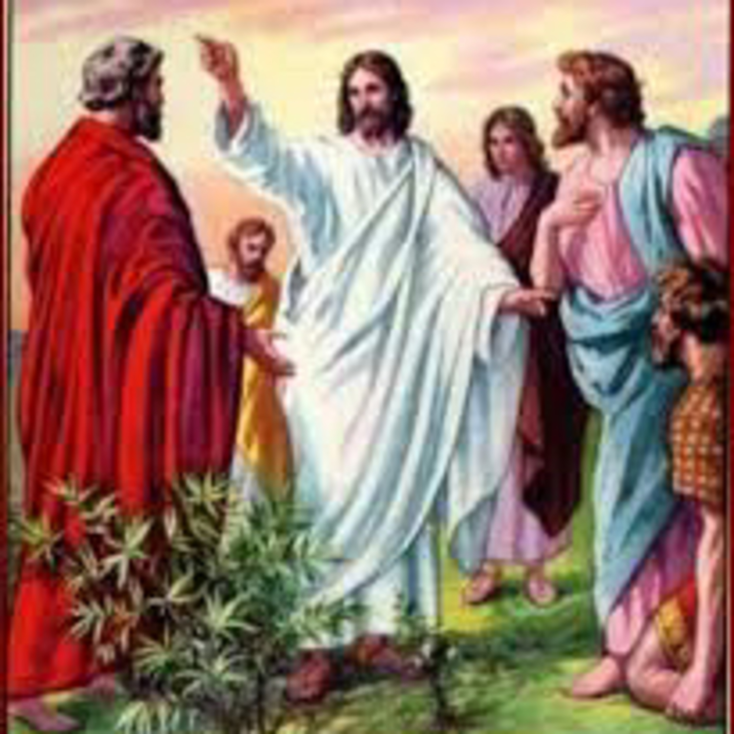 Evangelio del Sábado 8 de julio. Mateo 9,14-17.