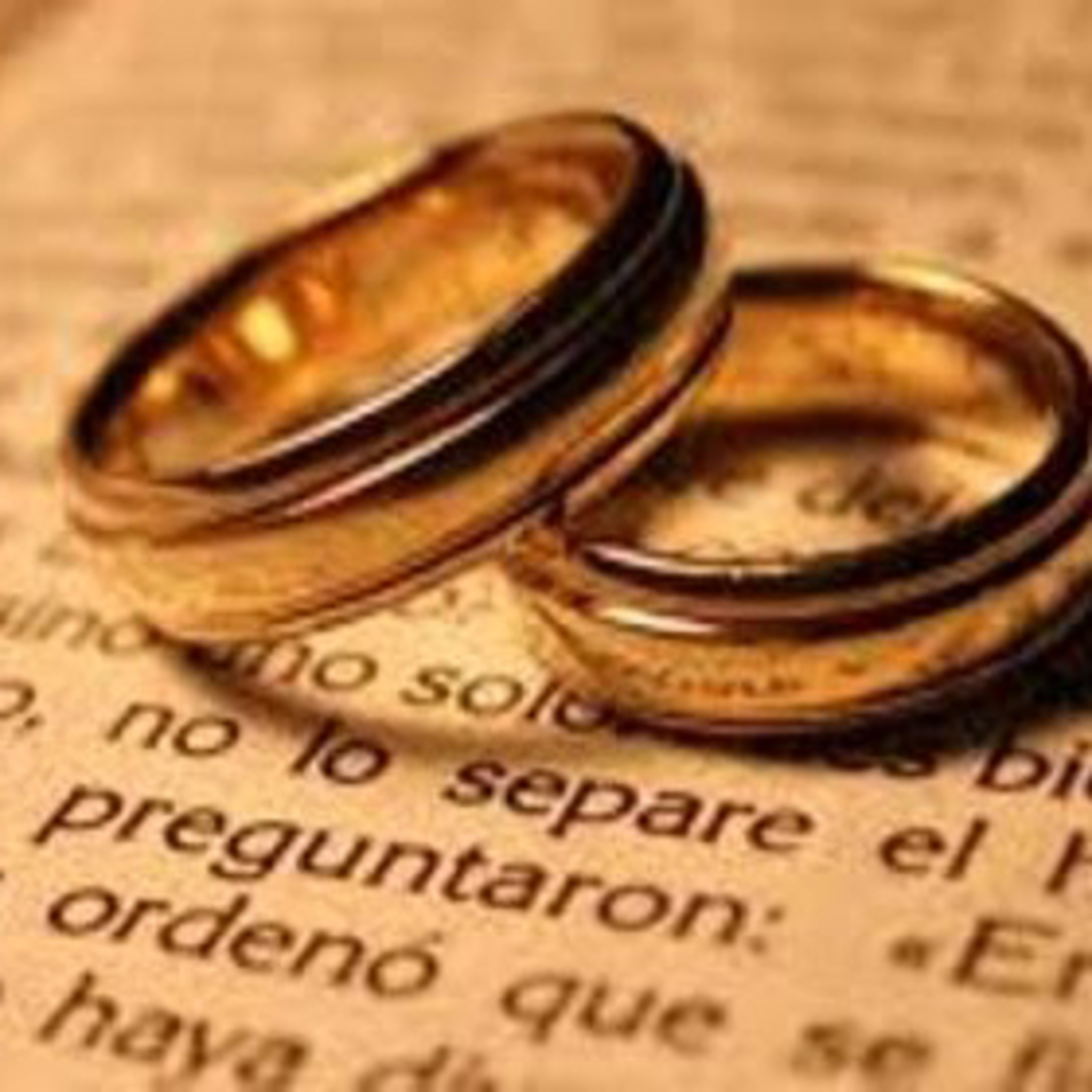 Lectura Diaria del Santo Evangelio y su Meditación