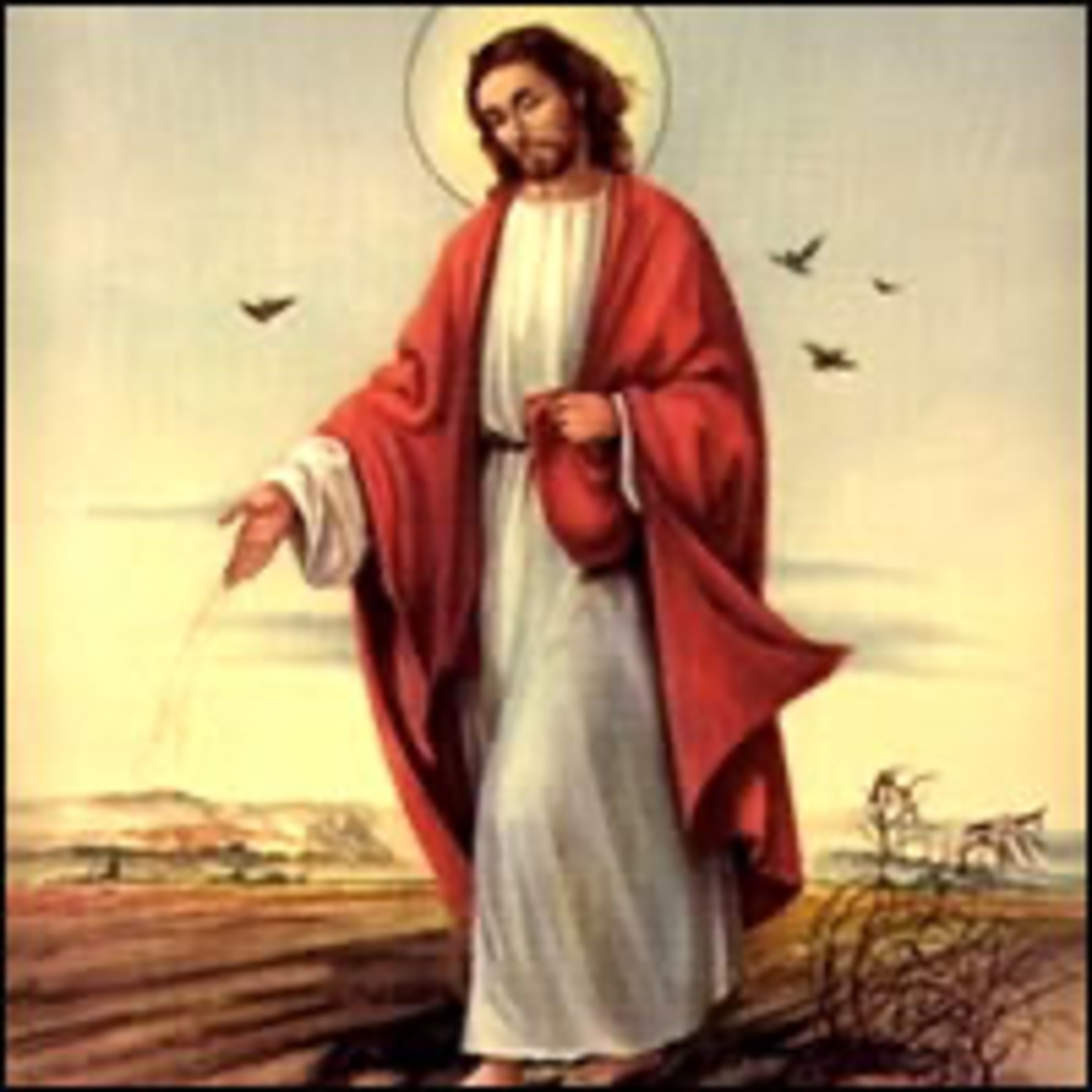 Evangelio del Sábado 23 de Septiembre. Lucas 8,4-15