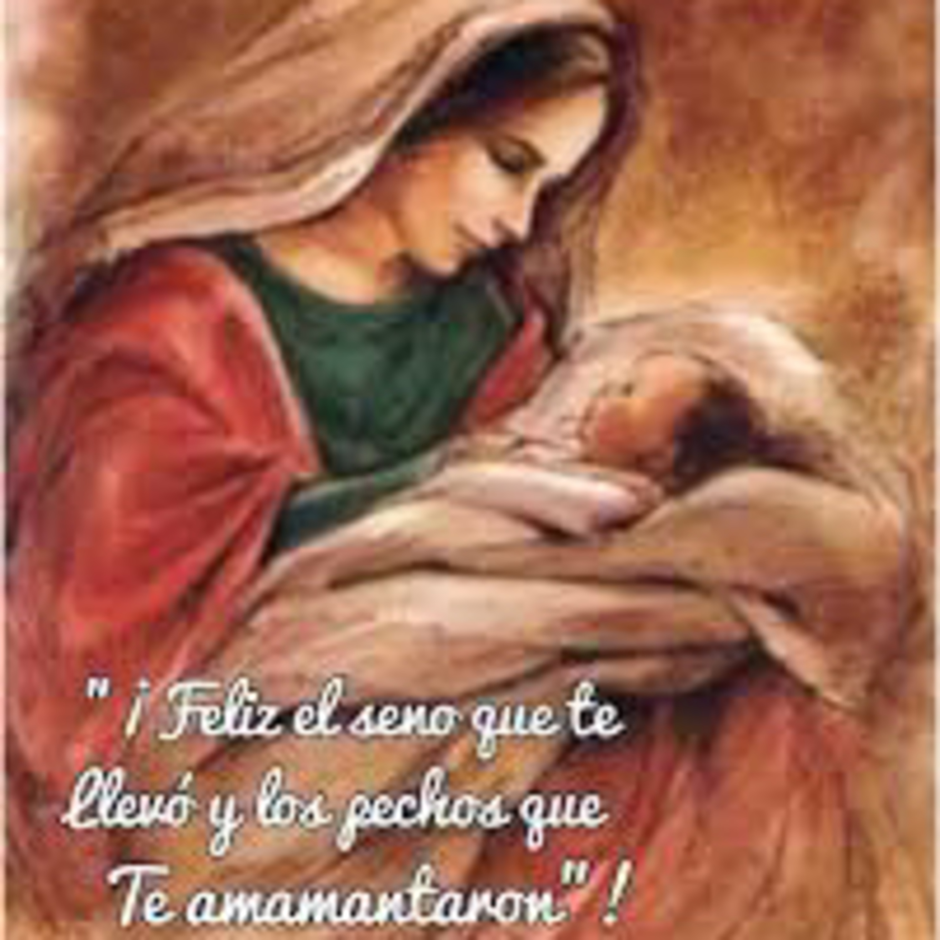 Evangelio del Sábado 14 de Octubre. Lucas 11,27-28