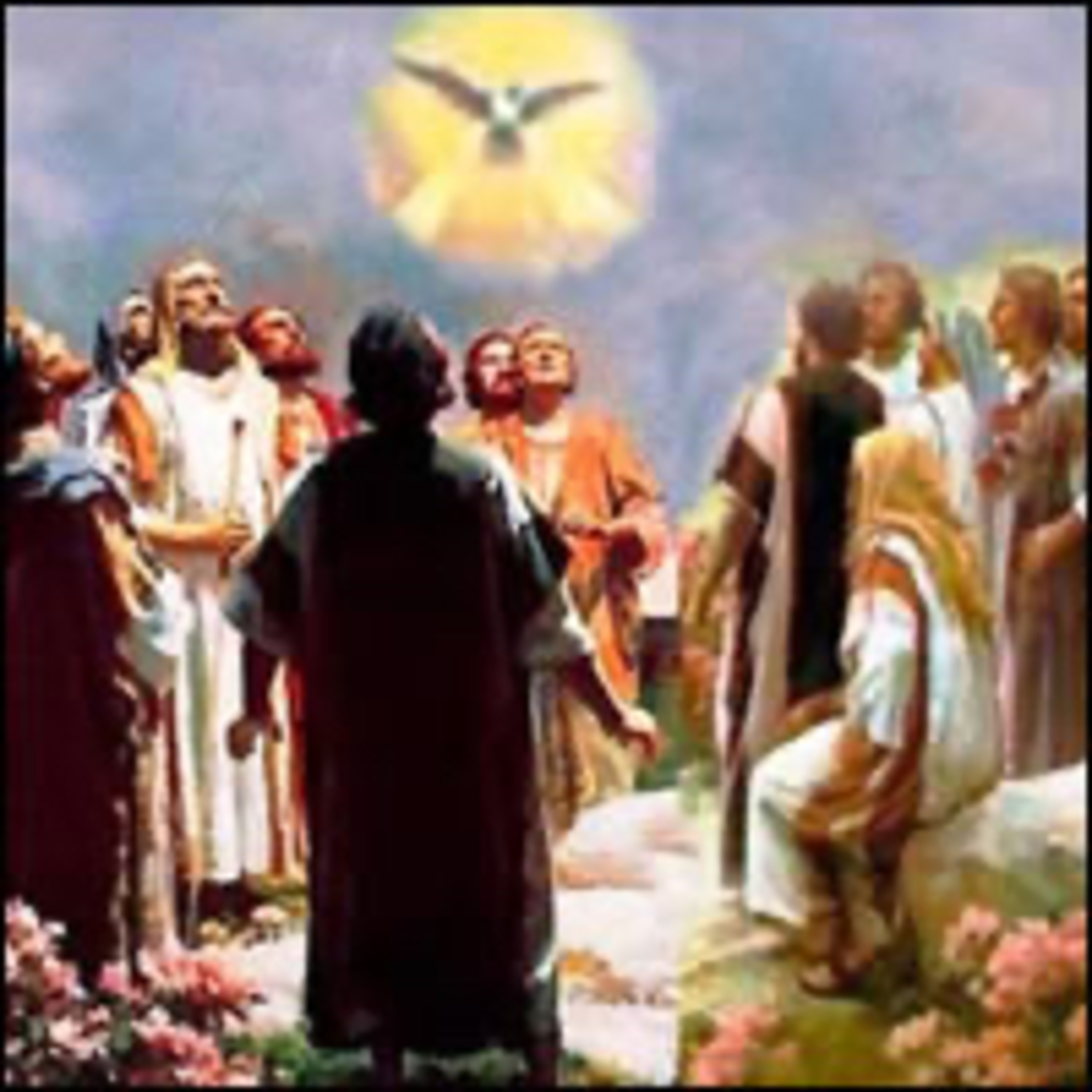 Evangelio del Sábado 21 de Octubre. Lucas 12,8-12