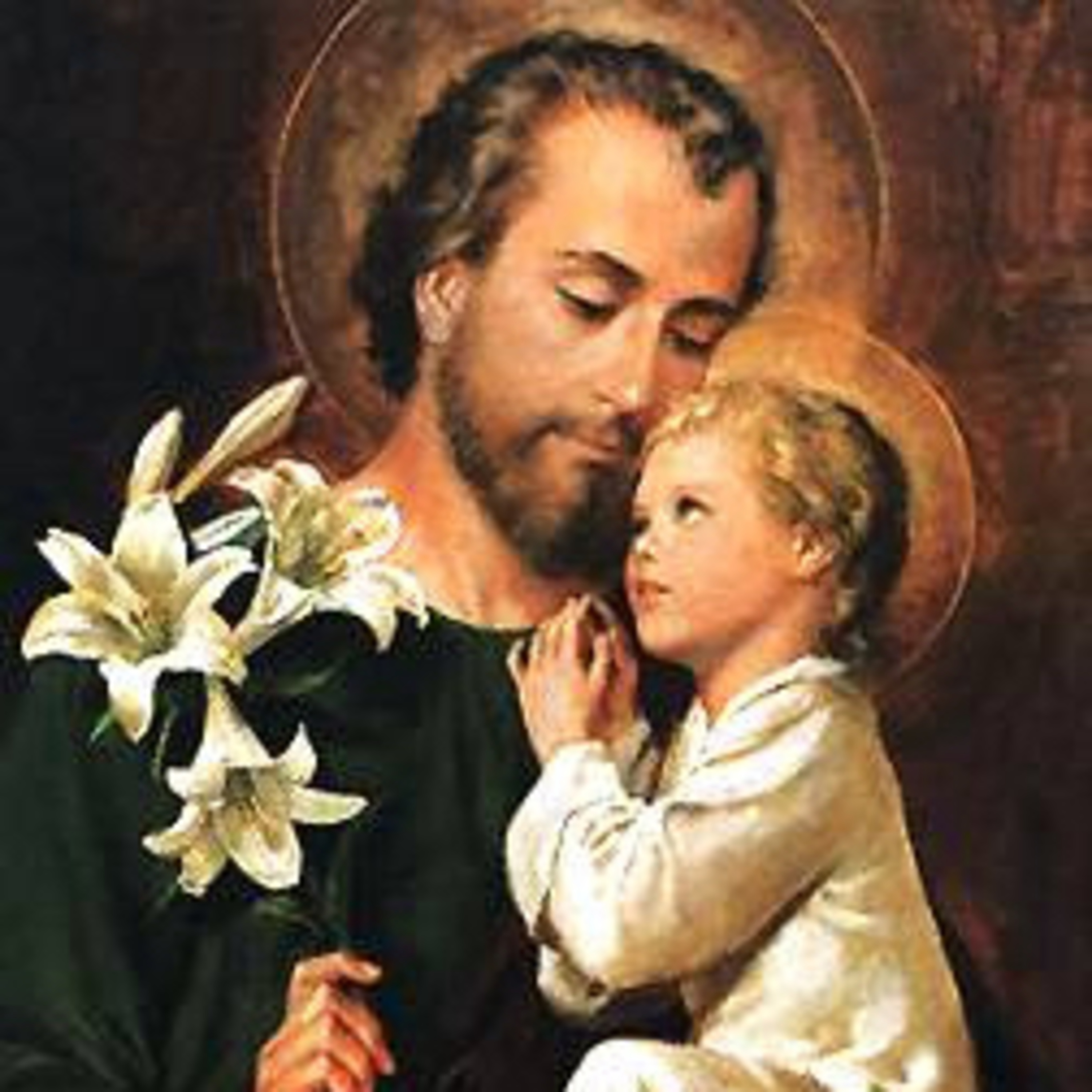 Lectura Diaria del Santo Evangelio y su Meditación