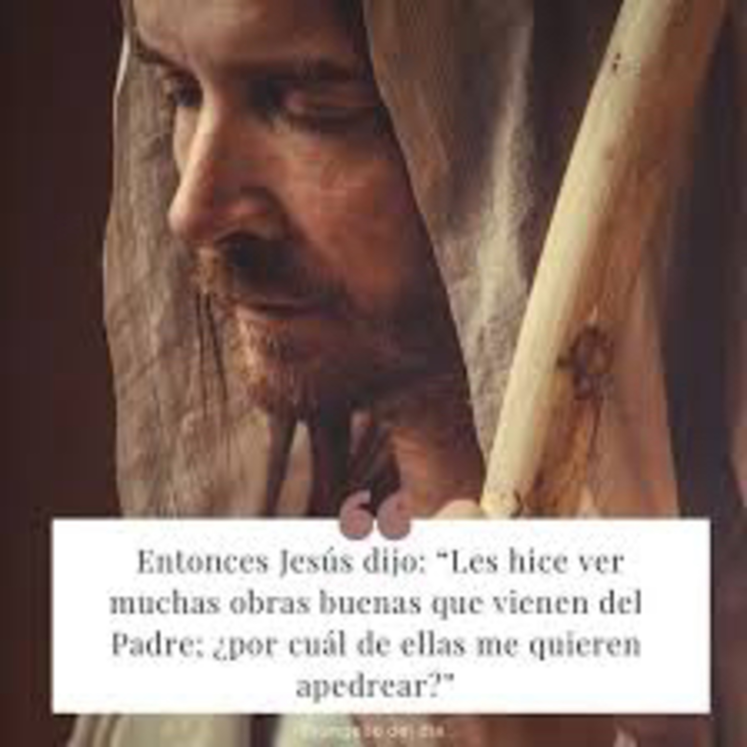 Lectura Diaria del Santo Evangelio y su Meditación