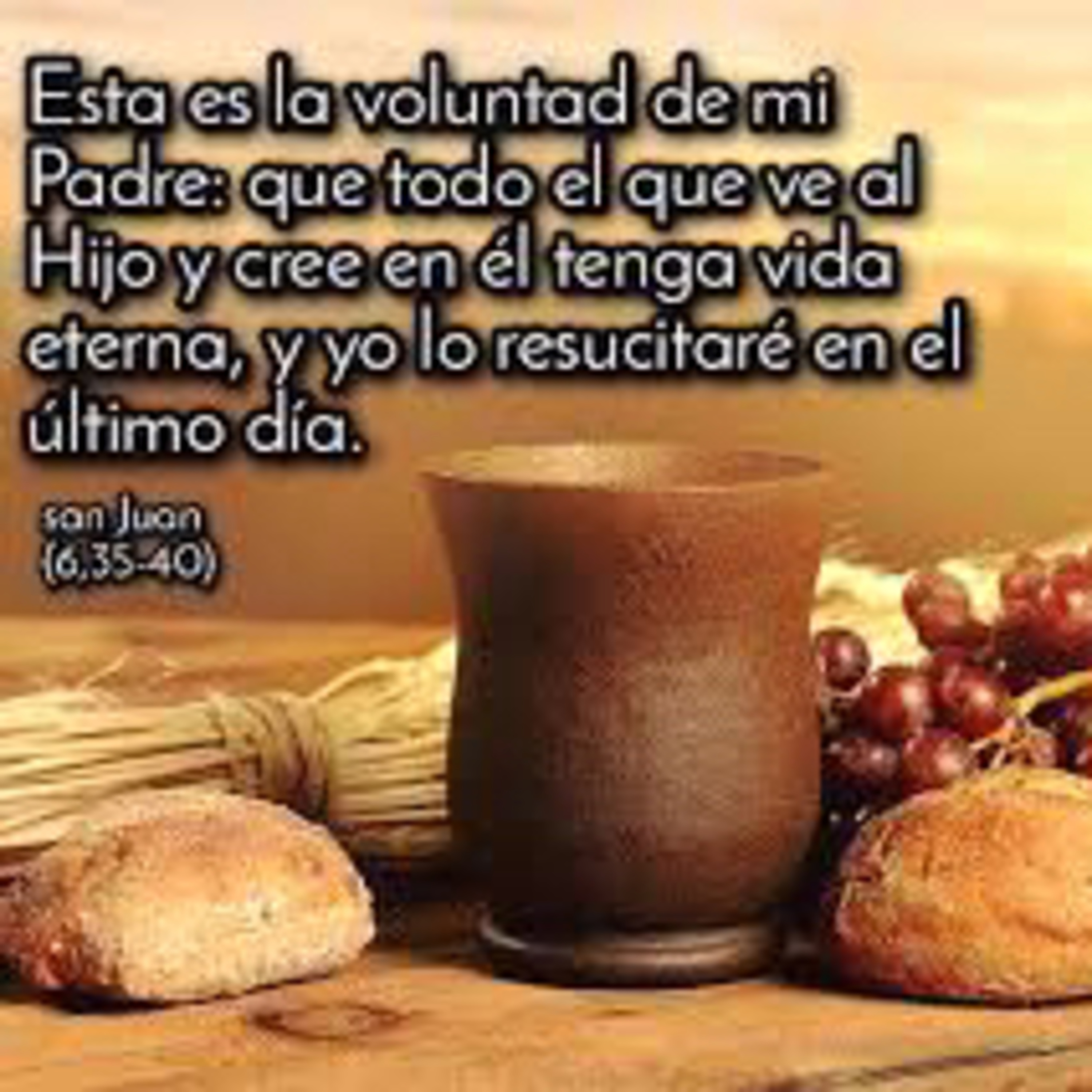 Evangelio del Miércoles 17 de Abril. Juan 6,35-40