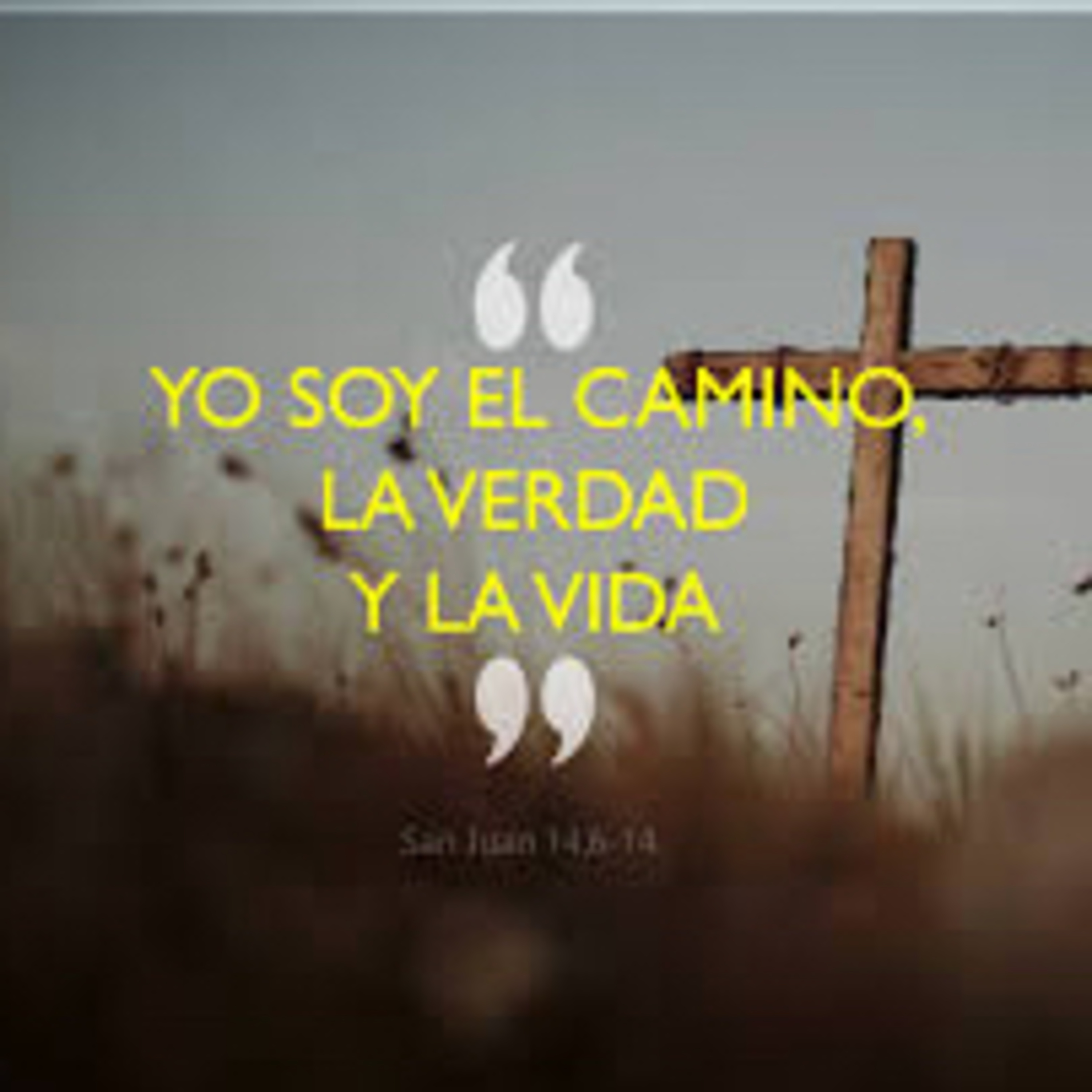 Evangelio del Viernes 3 de Mayo. Santos Felipe y Santiago. Juan 14,6-14.