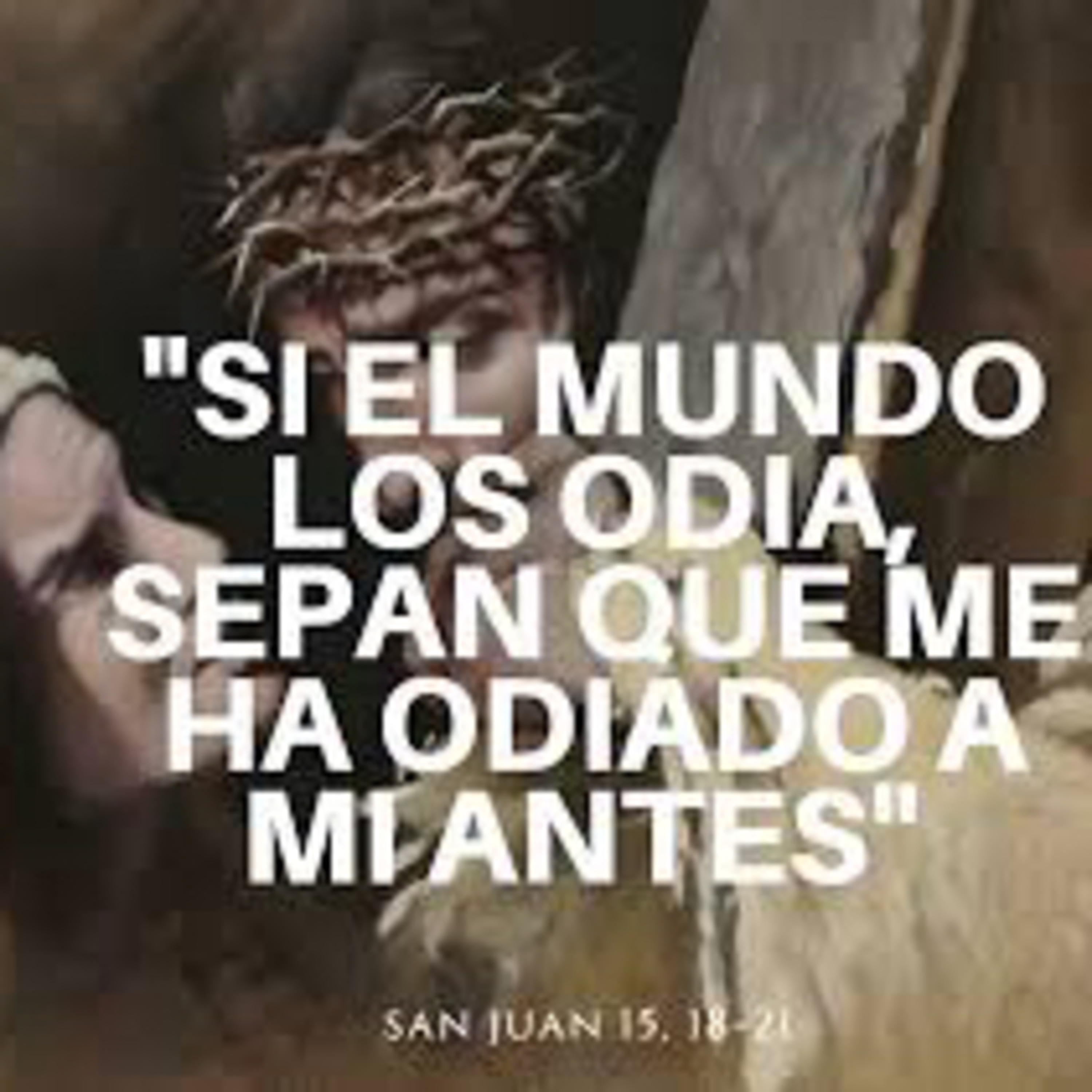 Evangelio del Sábado 4 de Mayo. Juan 15,18-21