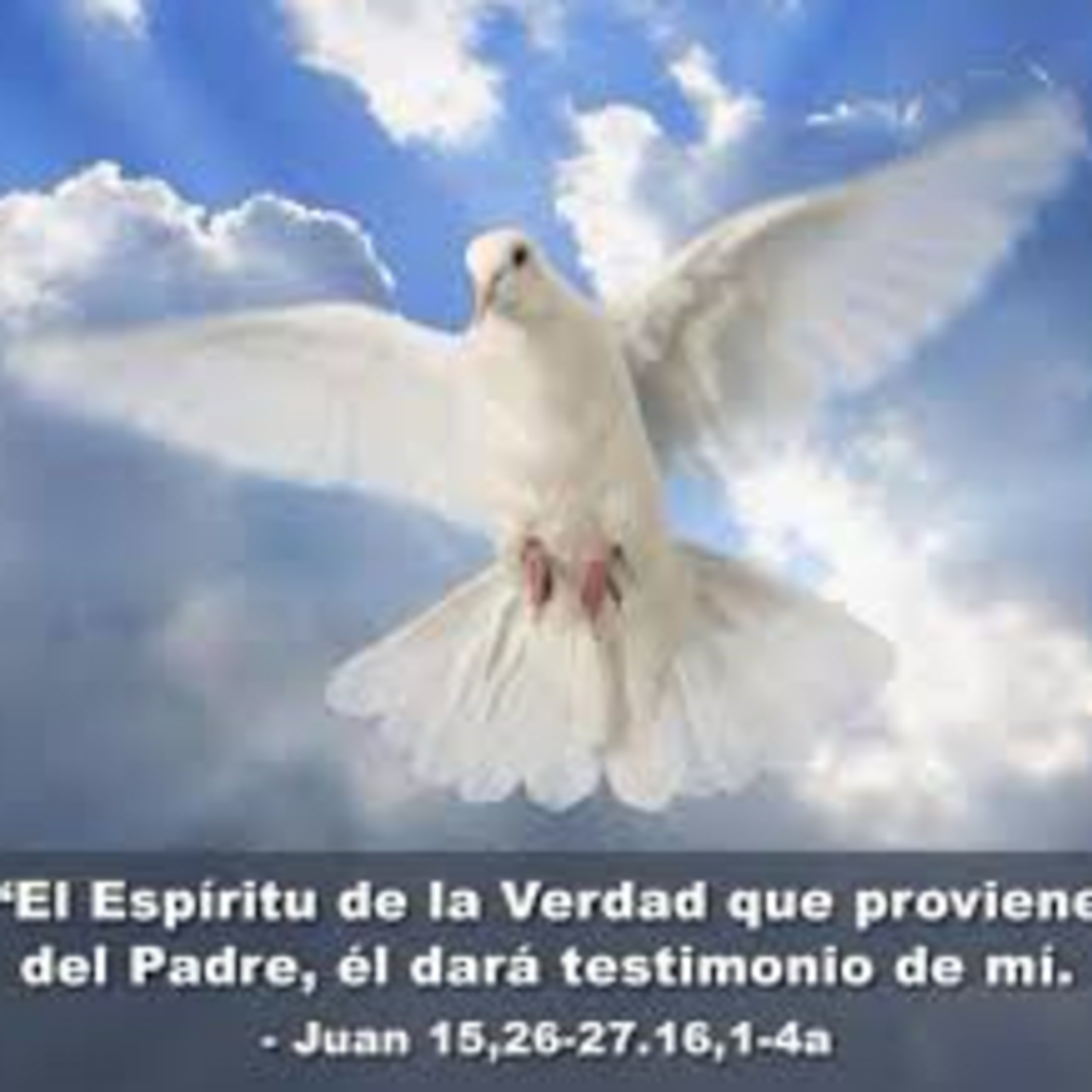 Evangelio del Lunes 6 de Mayo. Juan 15,26-27.16,1-4a