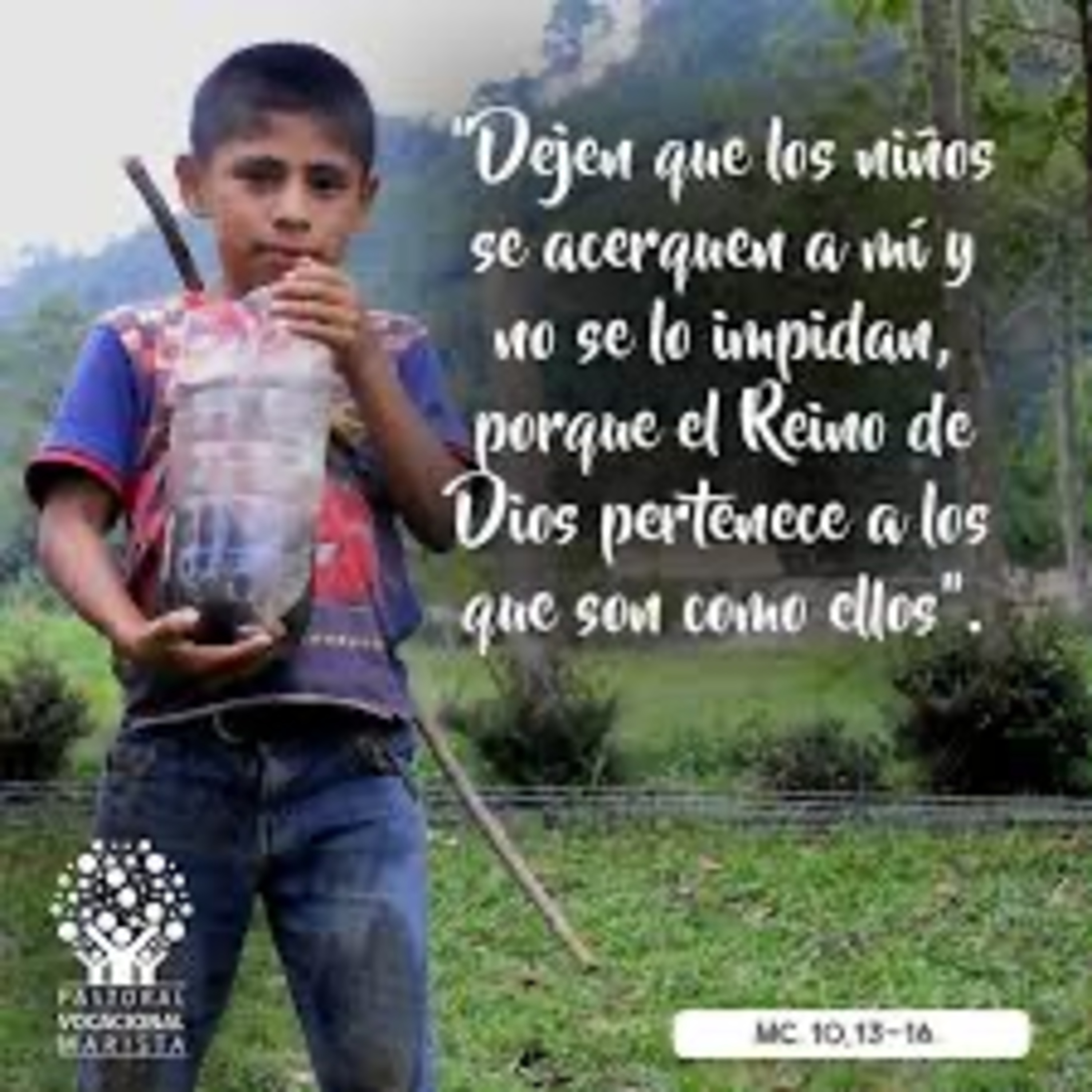 Evangelio del Sábado 25 de Mayo. Marcos 10,13-16.