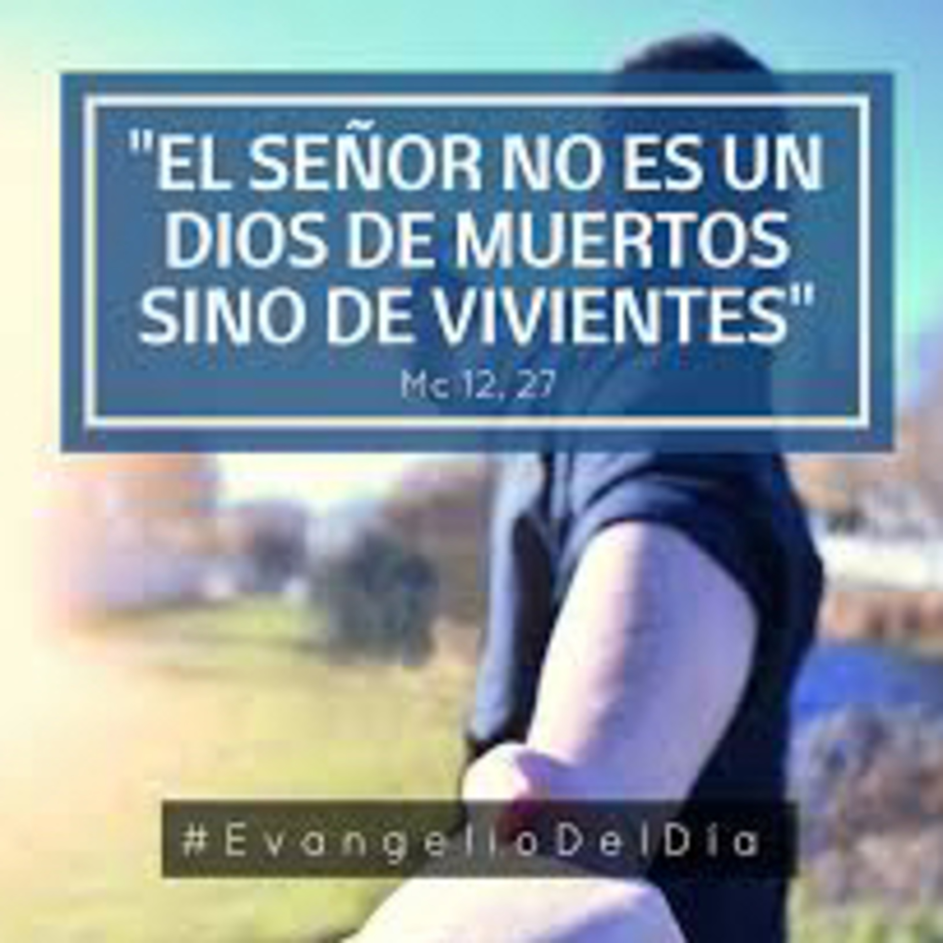 Evangelio del Miércoles 5 de Junio. Marcos 12,18-27